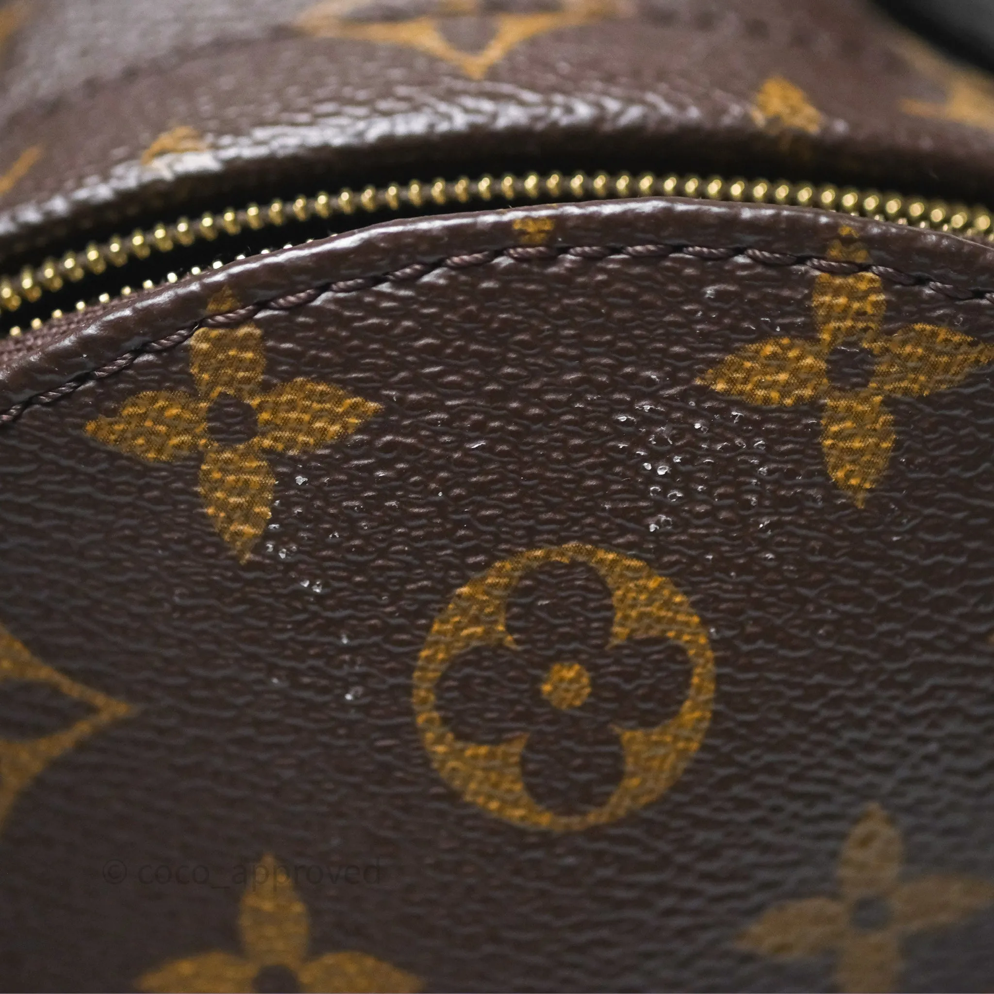 Louis Vuitton Monogram Mini Palm Springs Backpack