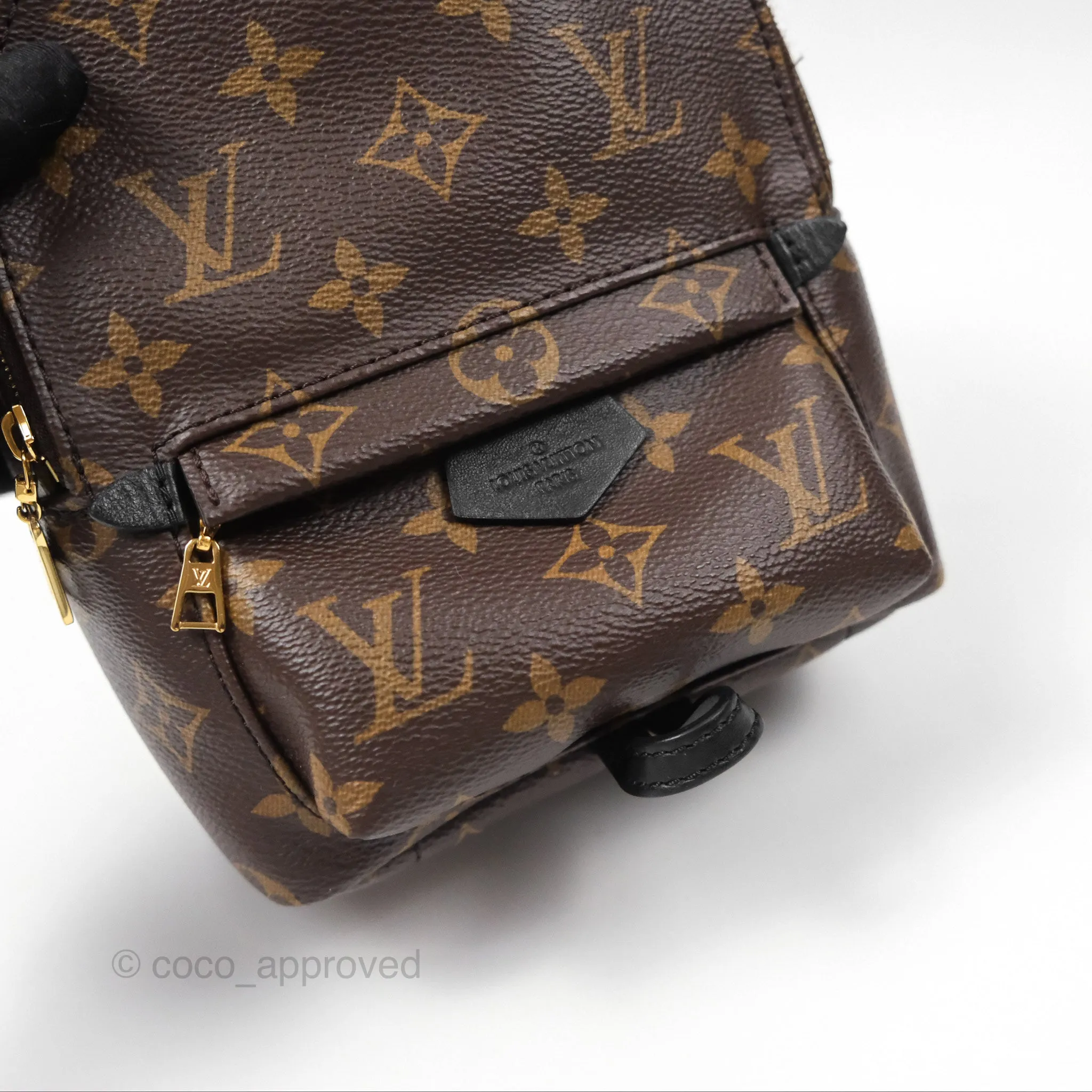 Louis Vuitton Monogram Mini Palm Springs Backpack