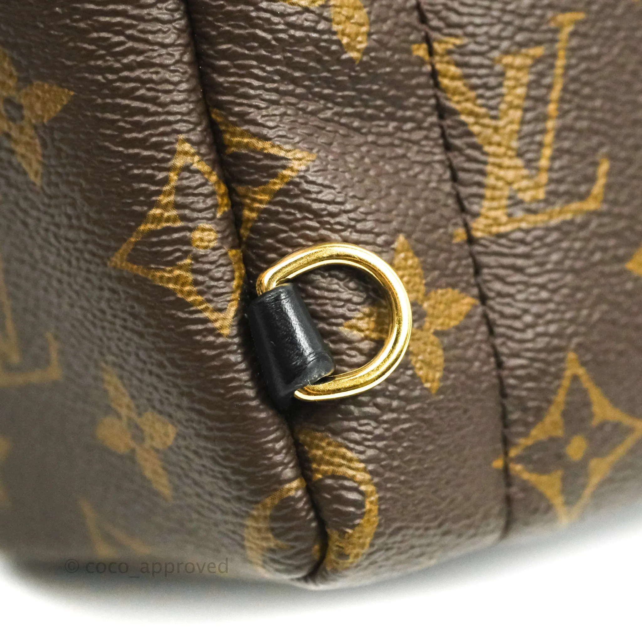 Louis Vuitton Monogram Mini Palm Springs Backpack