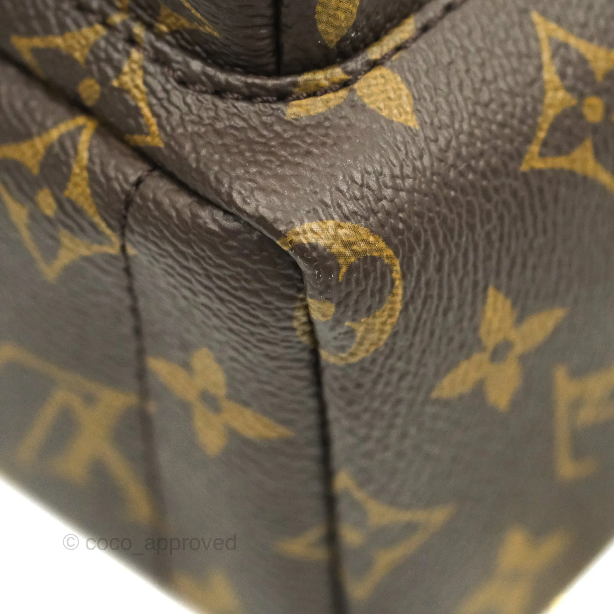 Louis Vuitton Monogram Mini Palm Springs Backpack