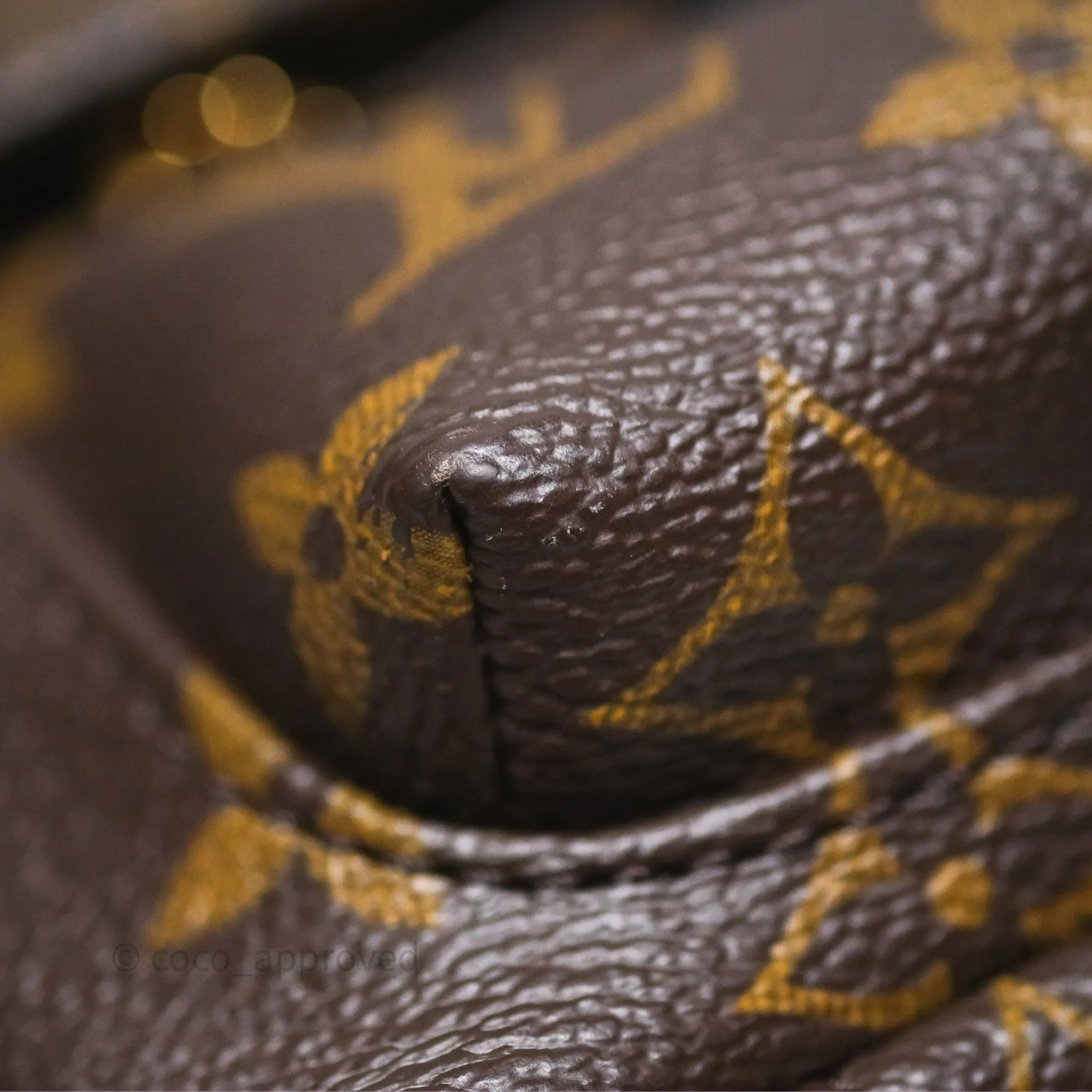 Louis Vuitton Monogram Mini Palm Springs Backpack
