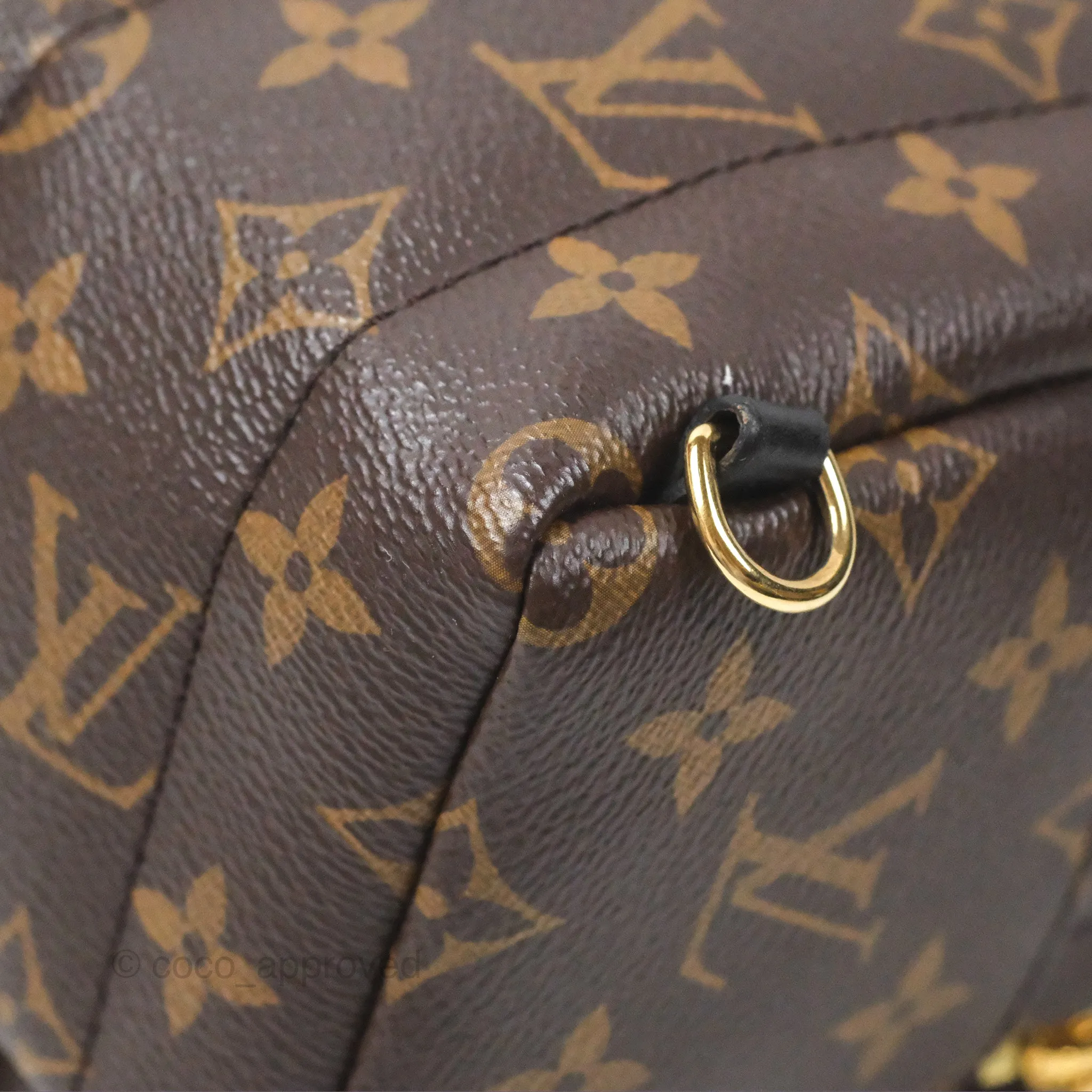Louis Vuitton Monogram Mini Palm Springs Backpack