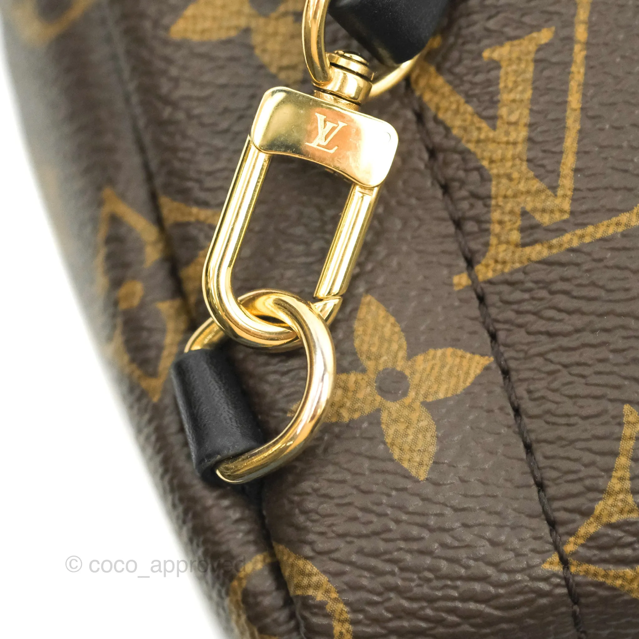 Louis Vuitton Monogram Mini Palm Springs Backpack