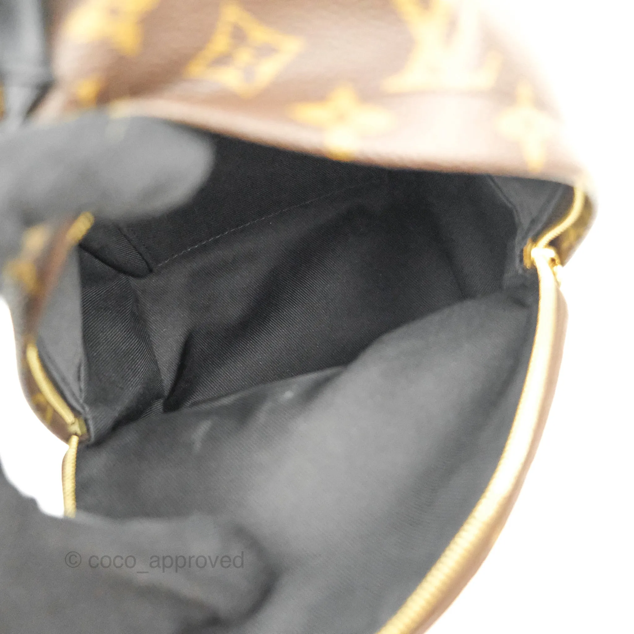 Louis Vuitton Monogram Mini Palm Springs Backpack