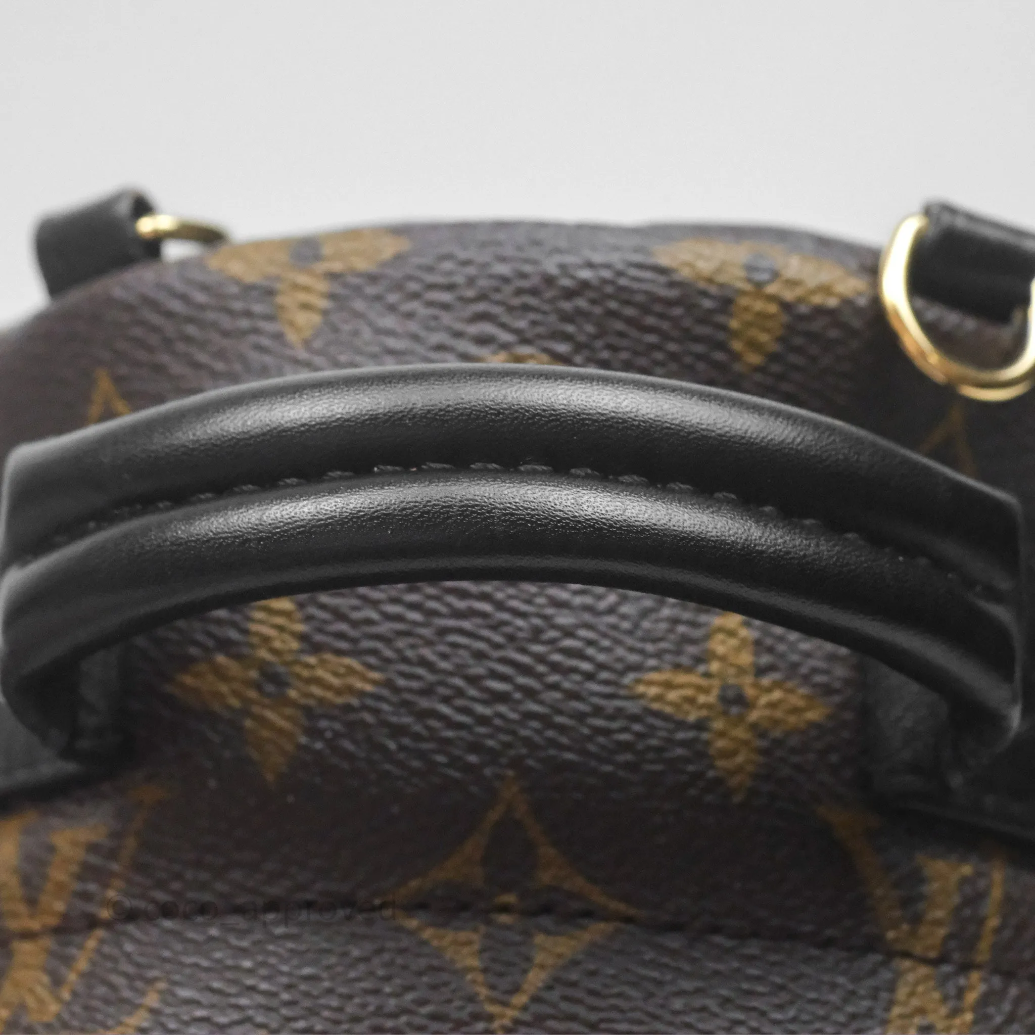 Louis Vuitton Monogram Mini Palm Springs Backpack