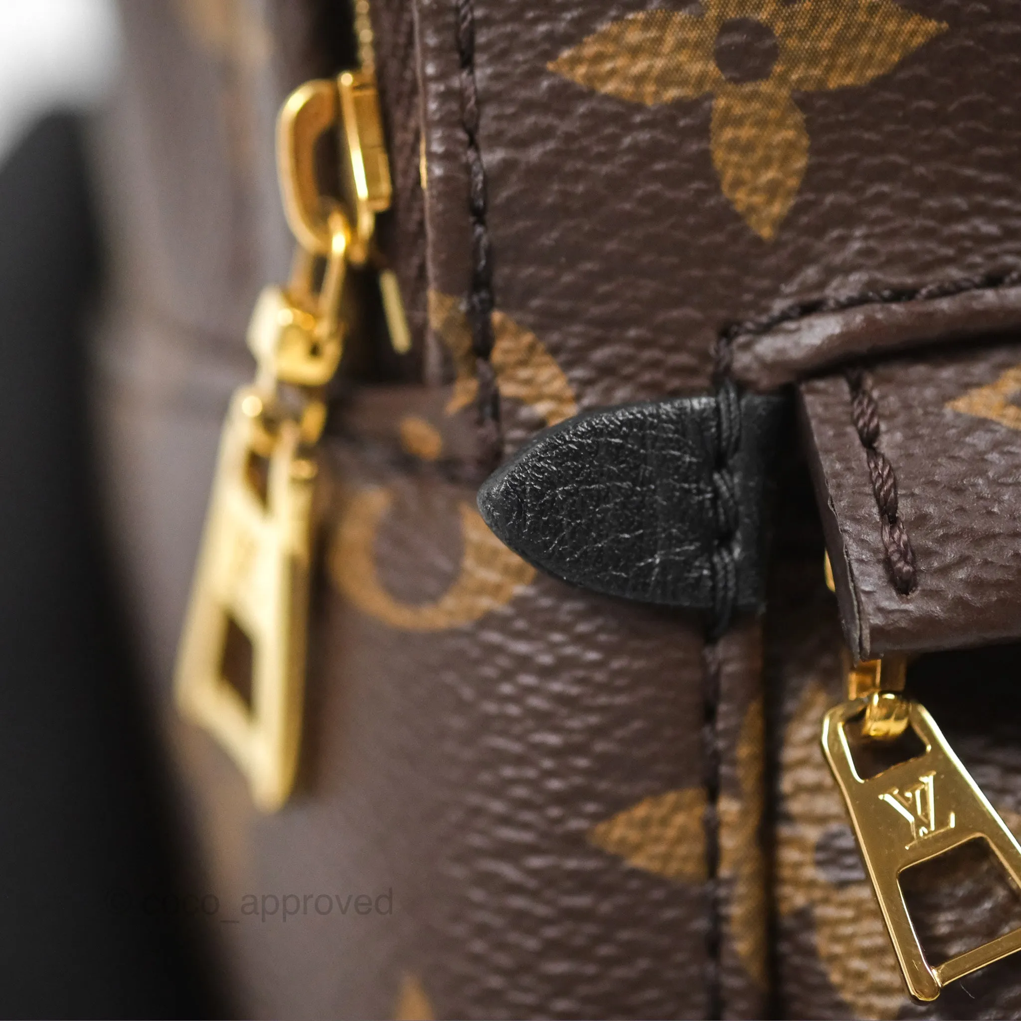 Louis Vuitton Monogram Mini Palm Springs Backpack