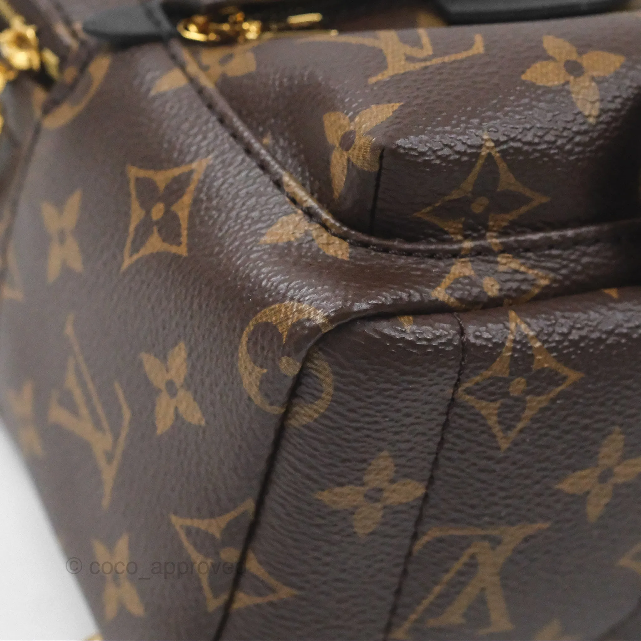 Louis Vuitton Monogram Mini Palm Springs Backpack