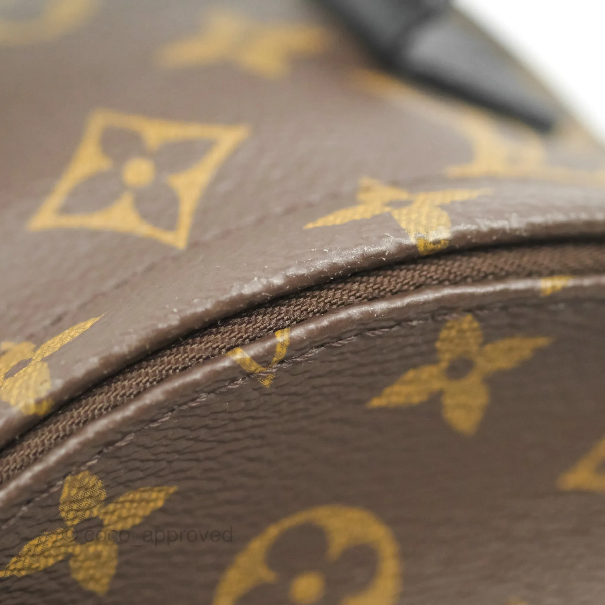 Louis Vuitton Monogram Mini Palm Springs Backpack