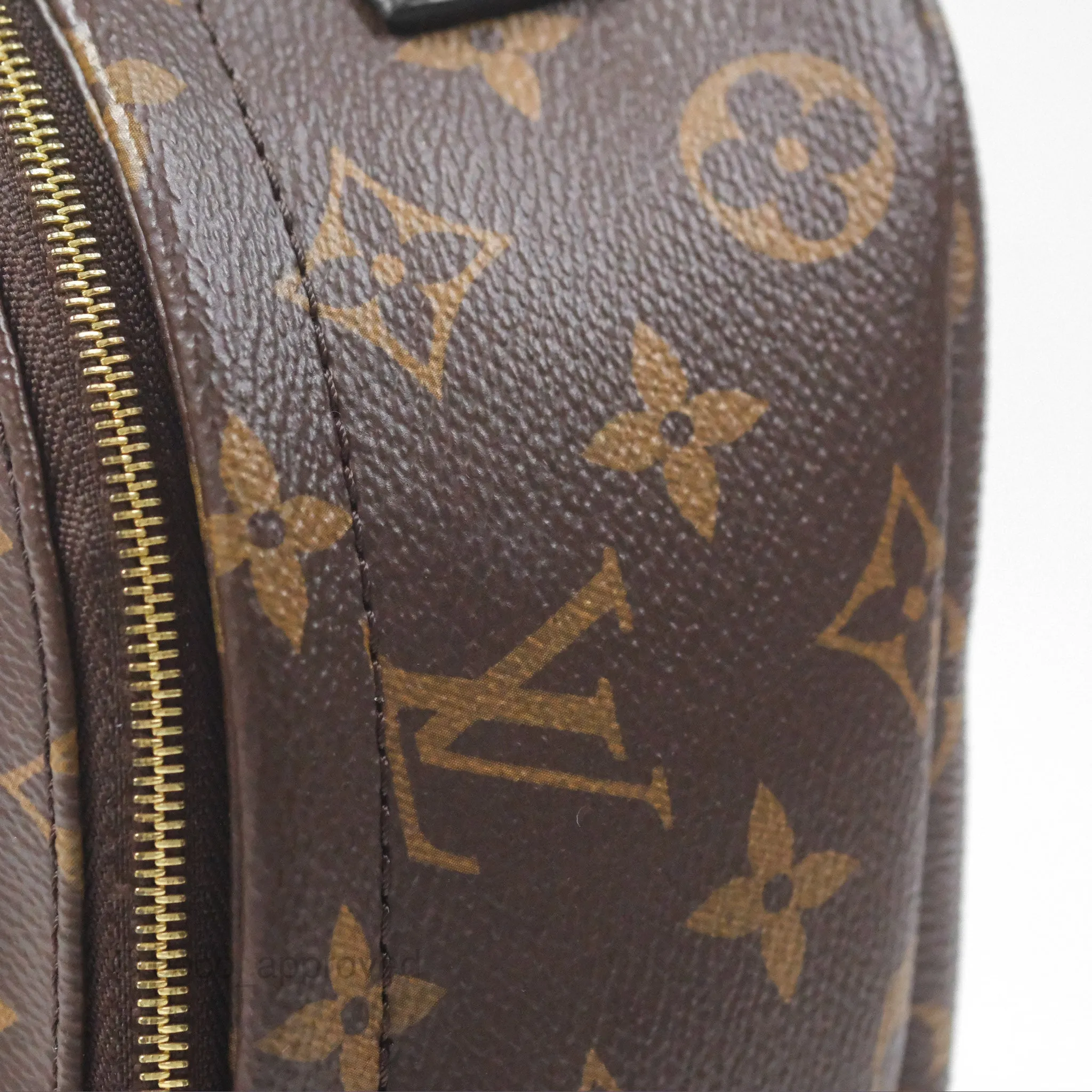 Louis Vuitton Monogram Mini Palm Springs Backpack