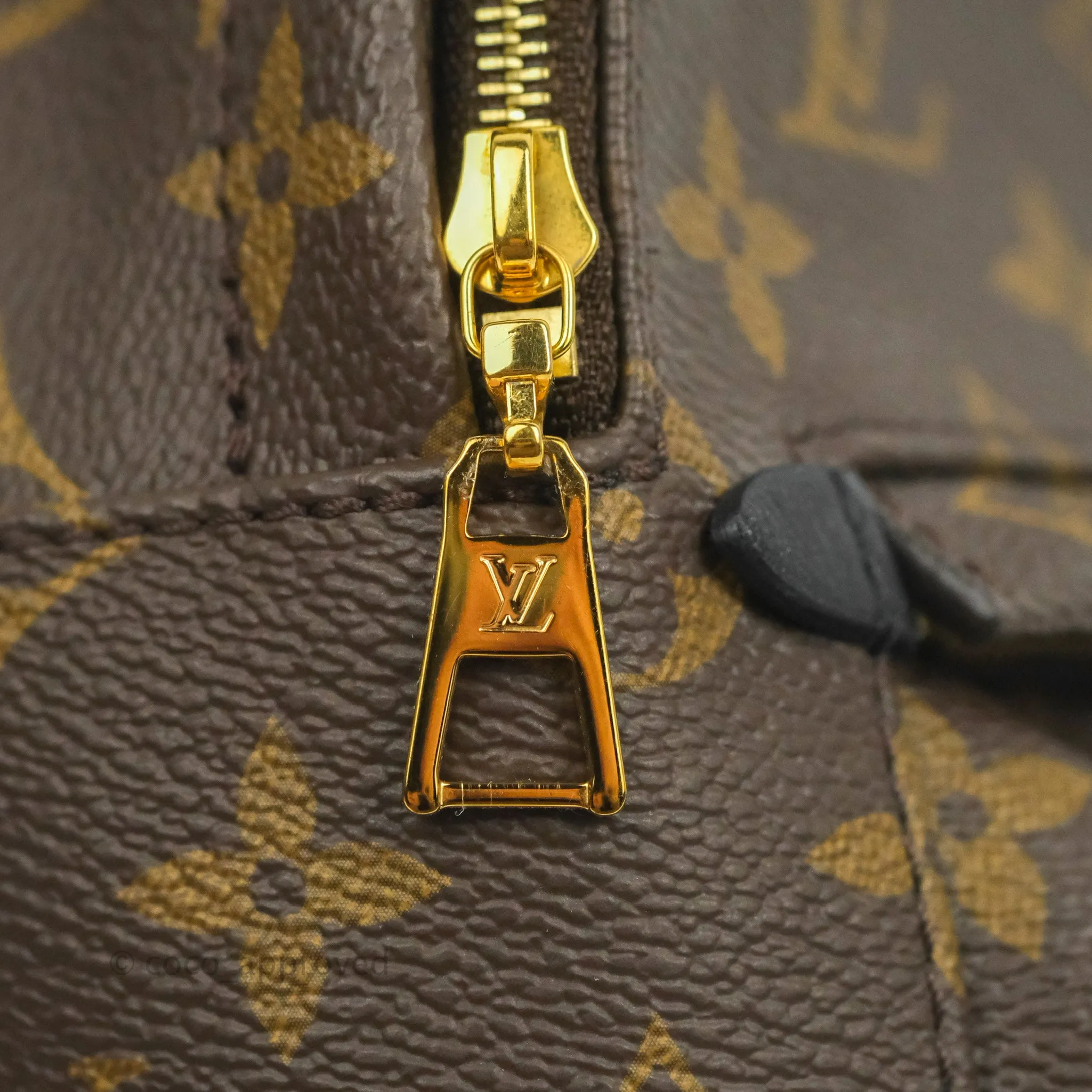 Louis Vuitton Monogram Mini Palm Springs Backpack