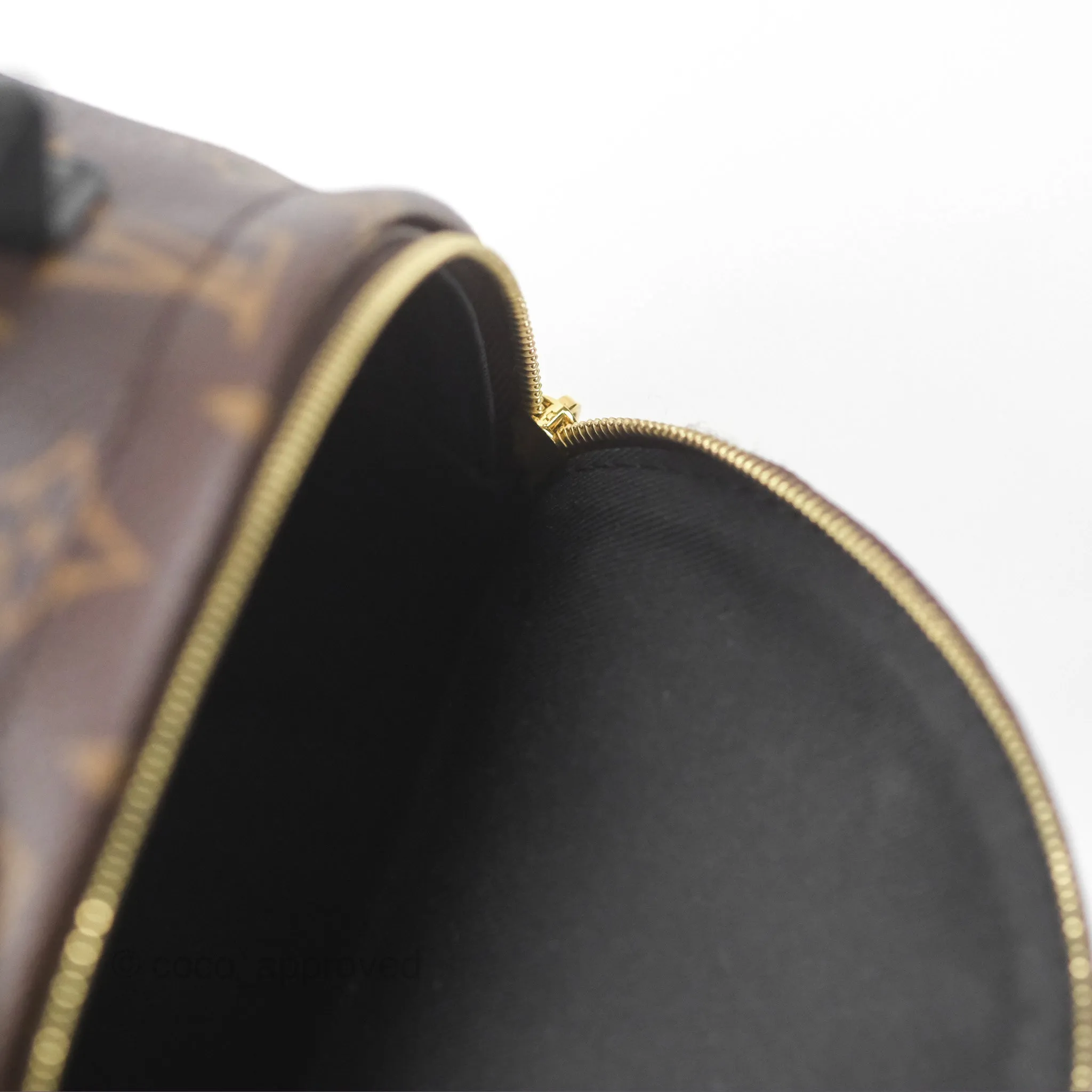 Louis Vuitton Monogram Mini Palm Springs Backpack