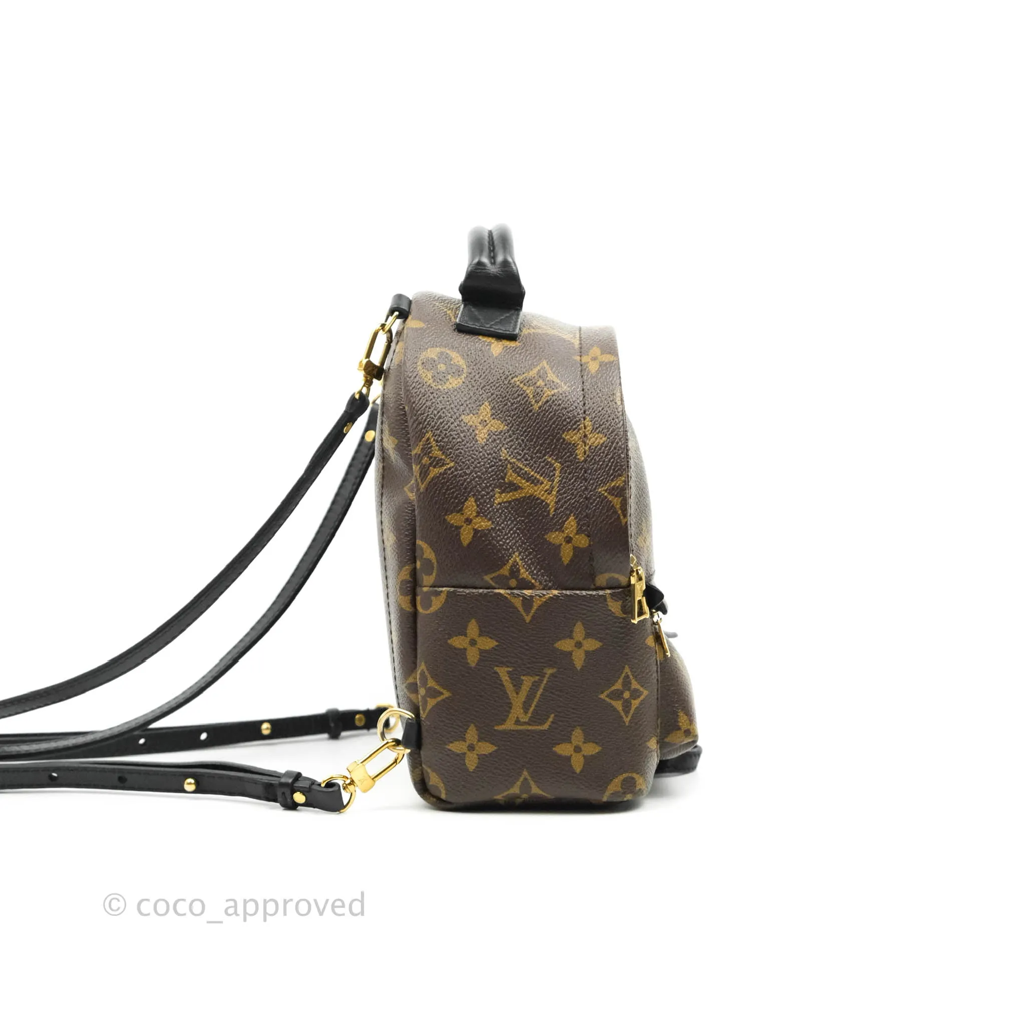 Louis Vuitton Monogram Mini Palm Springs Backpack