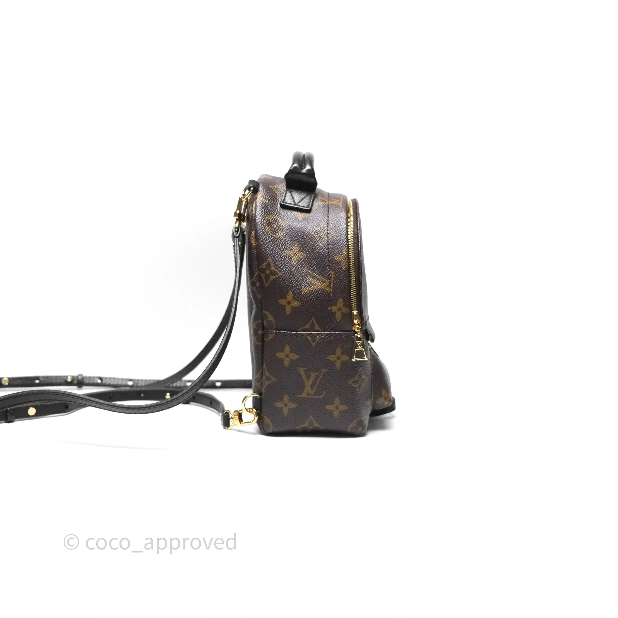 Louis Vuitton Monogram Mini Palm Springs Backpack