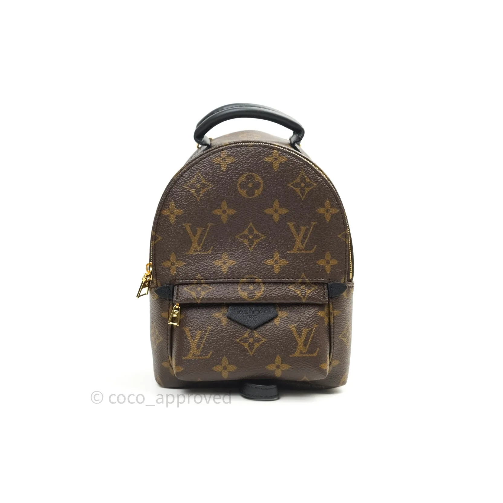 Louis Vuitton Monogram Mini Palm Springs Backpack