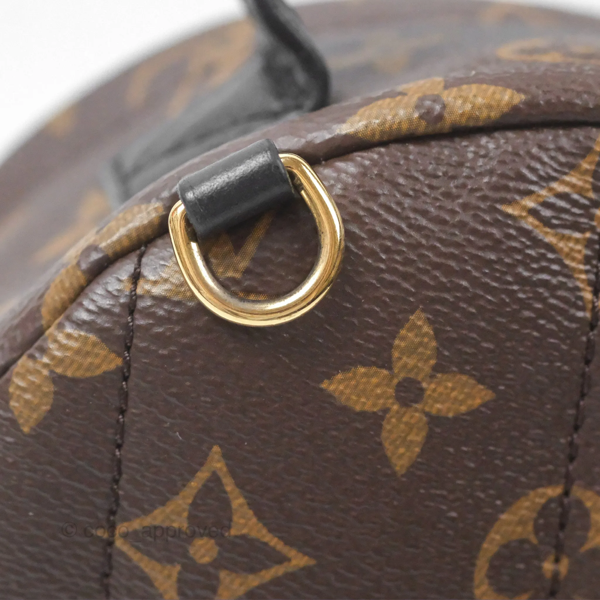 Louis Vuitton Monogram Mini Palm Springs Backpack