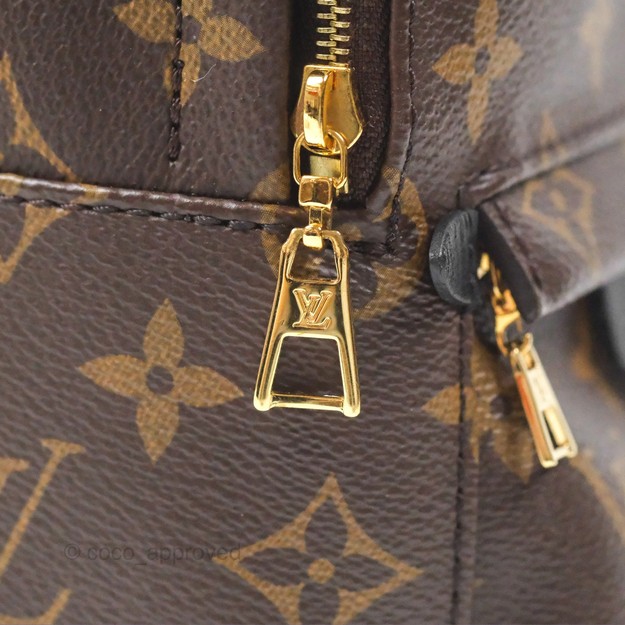 Louis Vuitton Monogram Mini Palm Springs Backpack