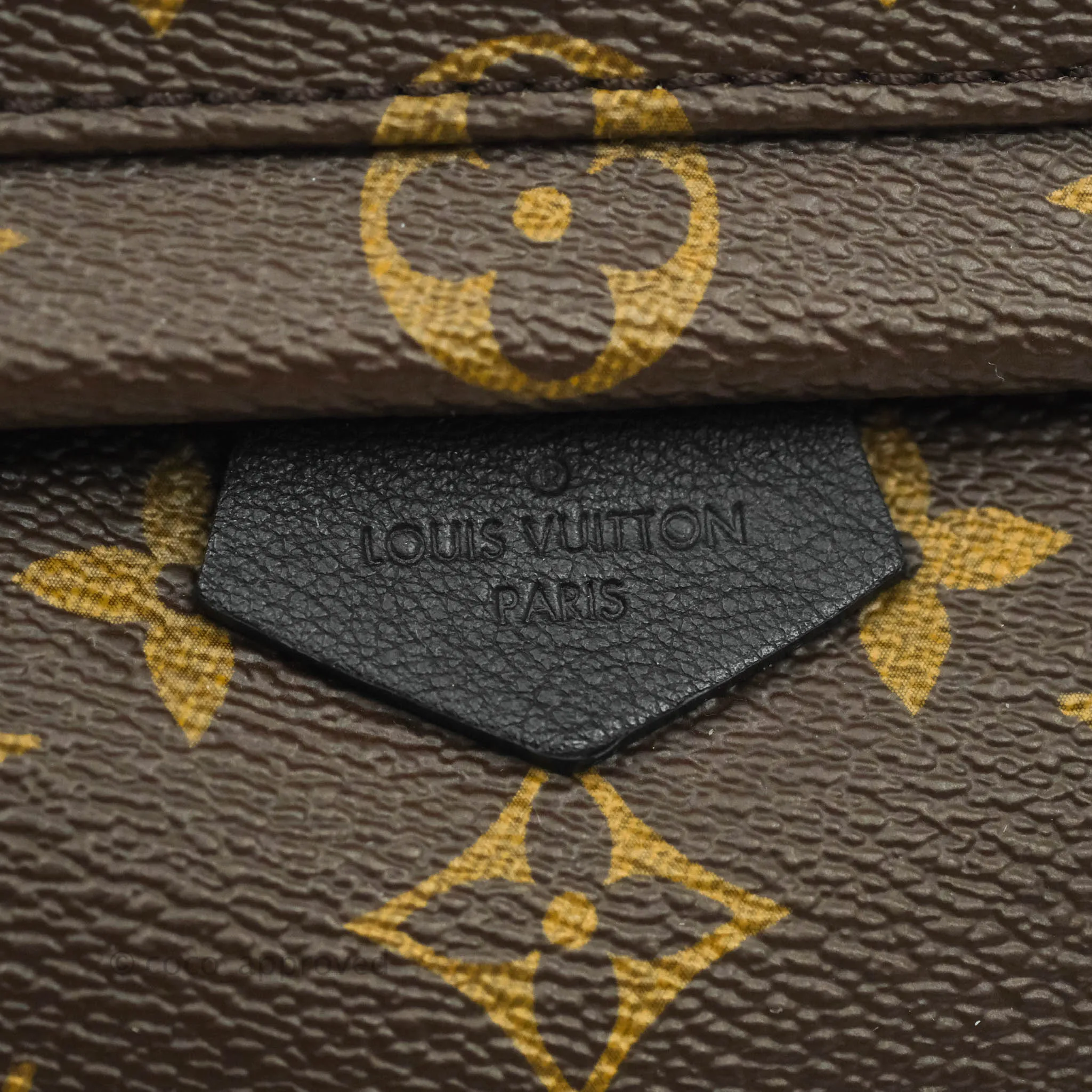Louis Vuitton Monogram Mini Palm Springs Backpack