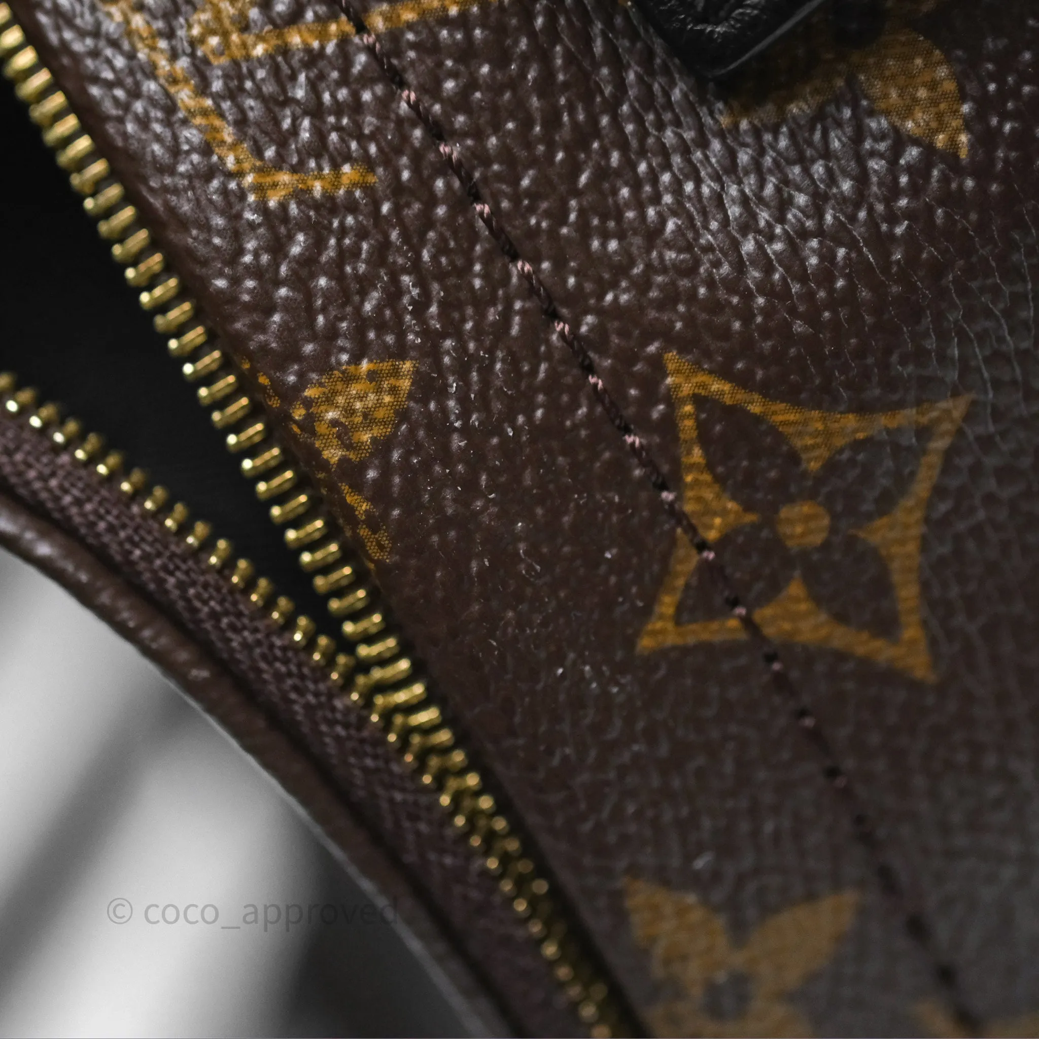 Louis Vuitton Monogram Mini Palm Springs Backpack