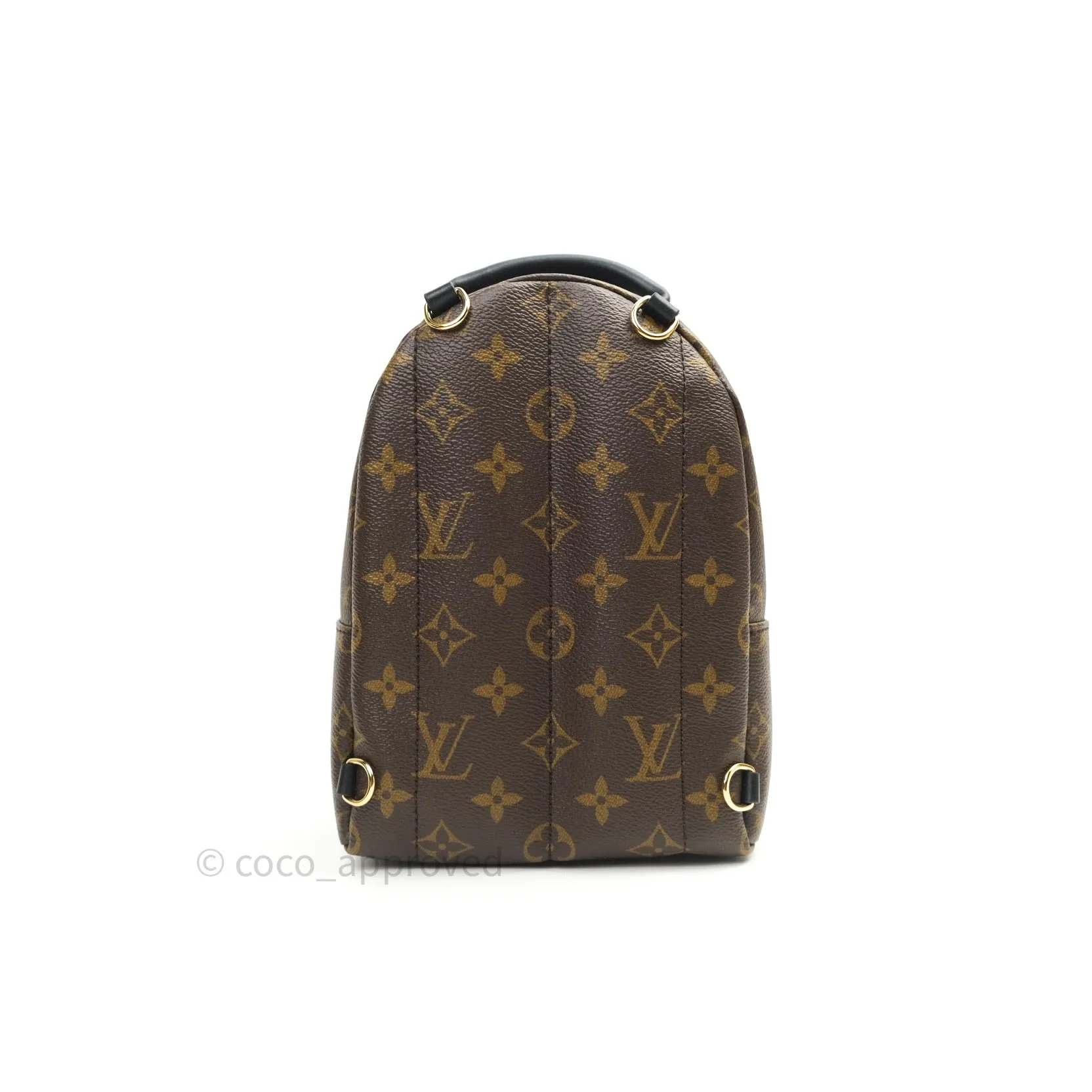 Louis Vuitton Monogram Mini Palm Springs Backpack