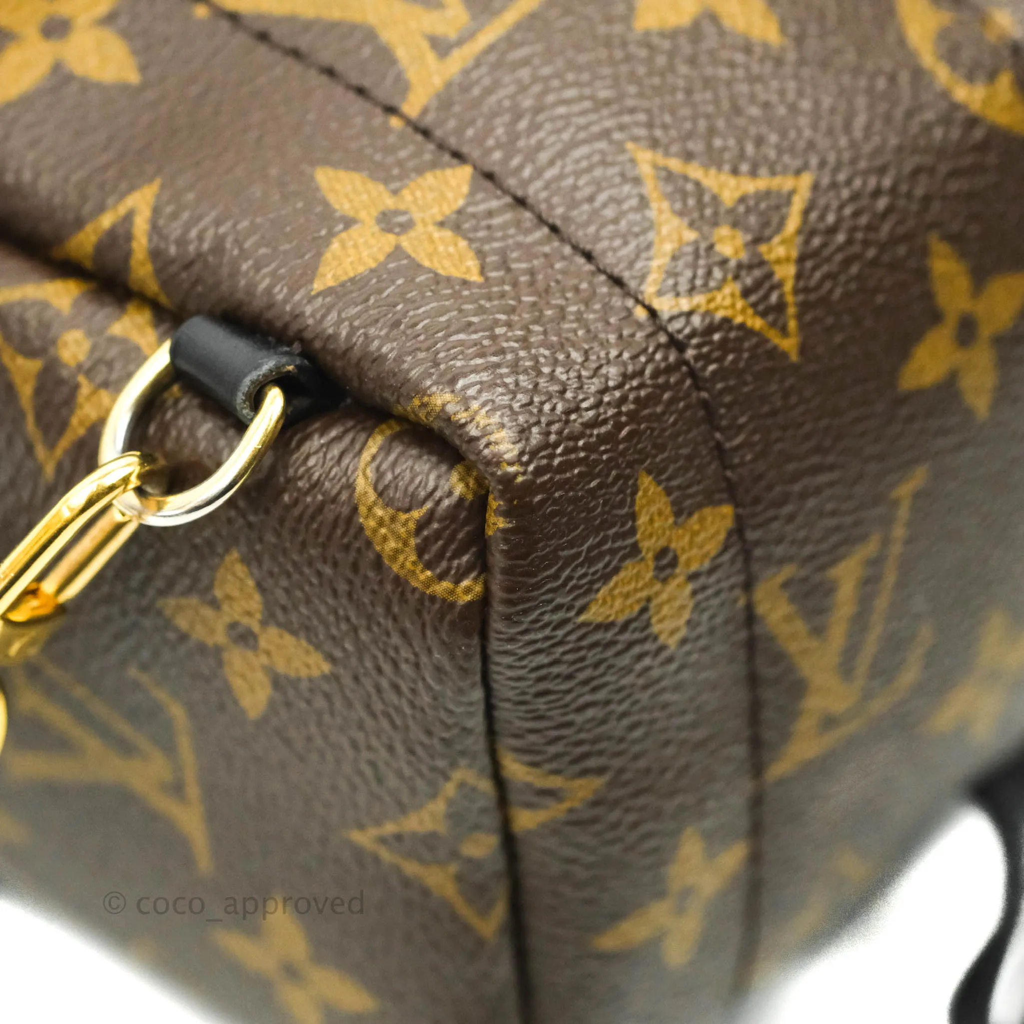 Louis Vuitton Monogram Mini Palm Springs Backpack