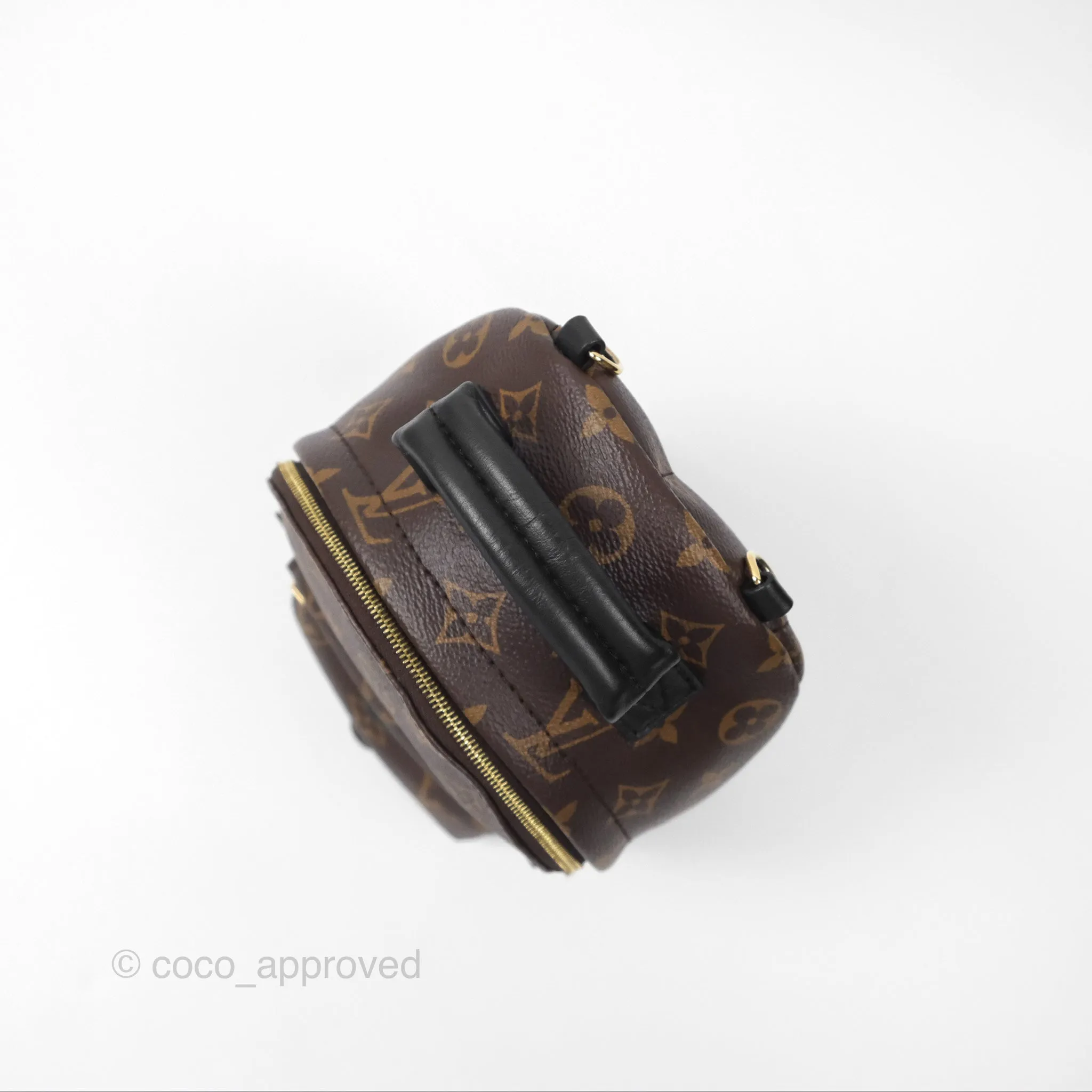 Louis Vuitton Monogram Mini Palm Springs Backpack