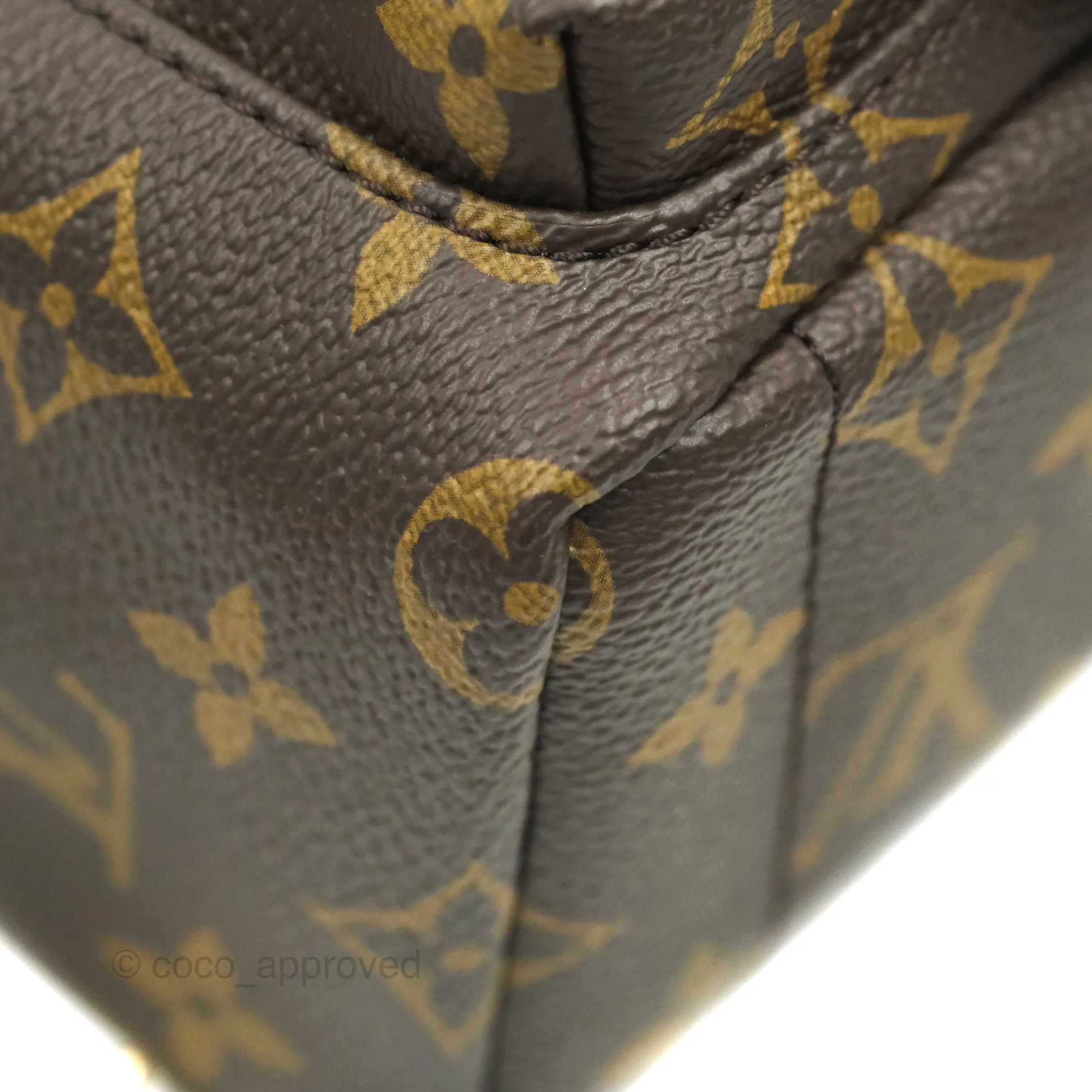 Louis Vuitton Monogram Mini Palm Springs Backpack