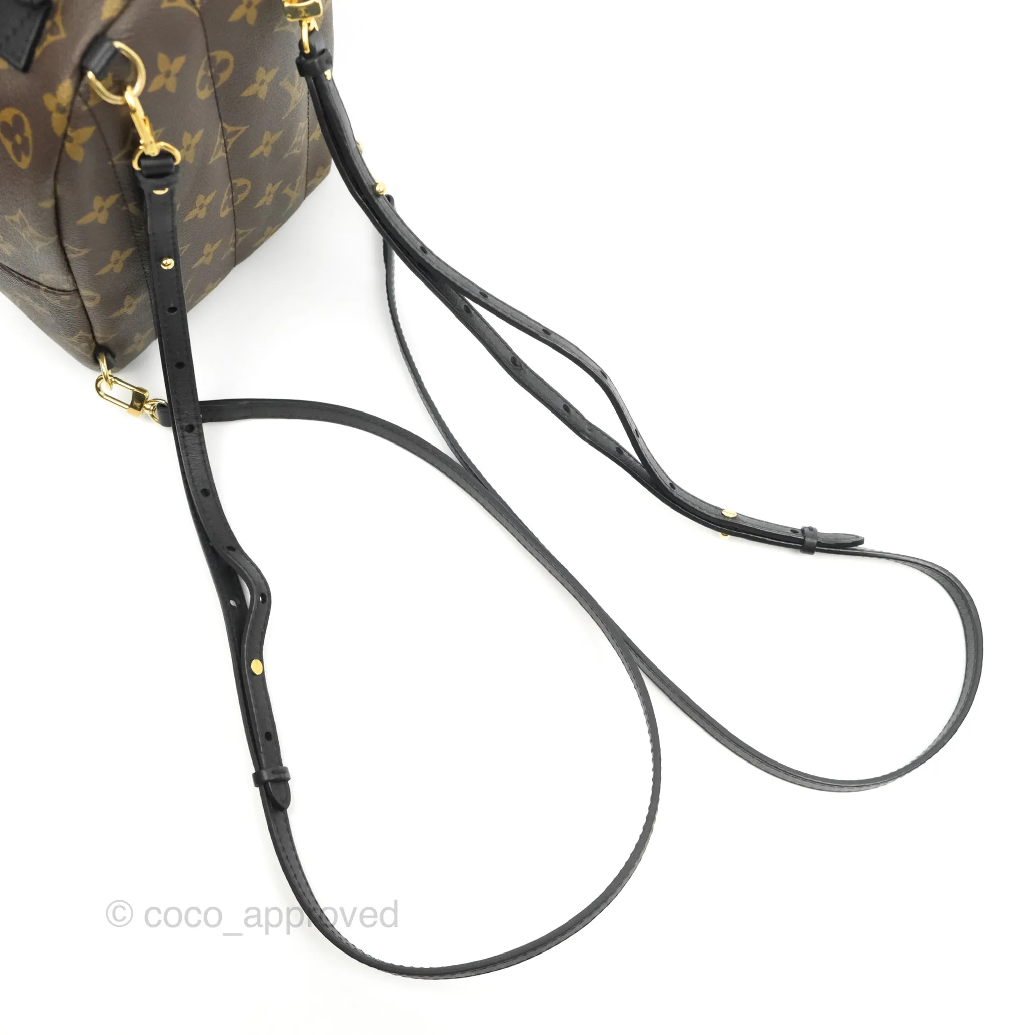 Louis Vuitton Monogram Mini Palm Springs Backpack