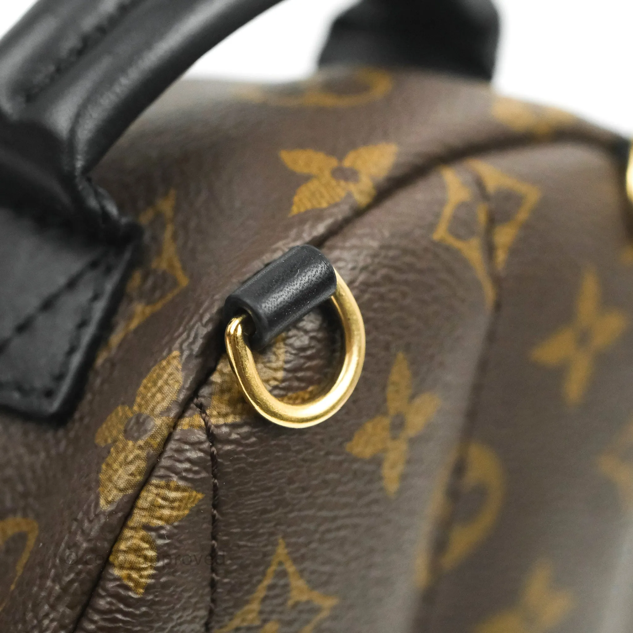 Louis Vuitton Monogram Mini Palm Springs Backpack