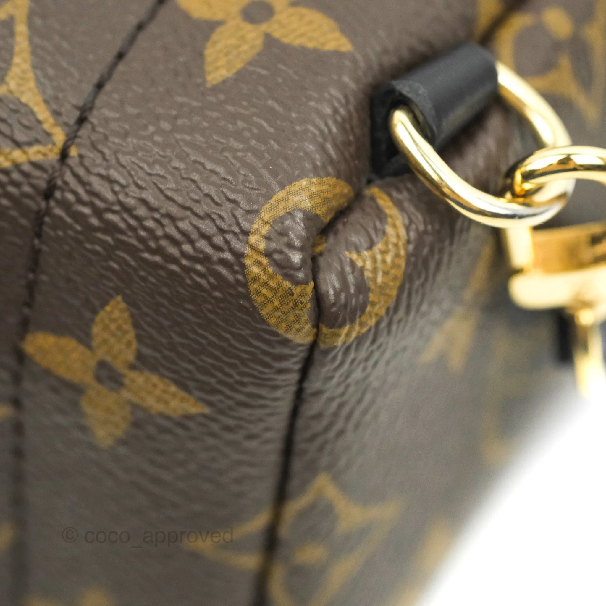 Louis Vuitton Monogram Mini Palm Springs Backpack