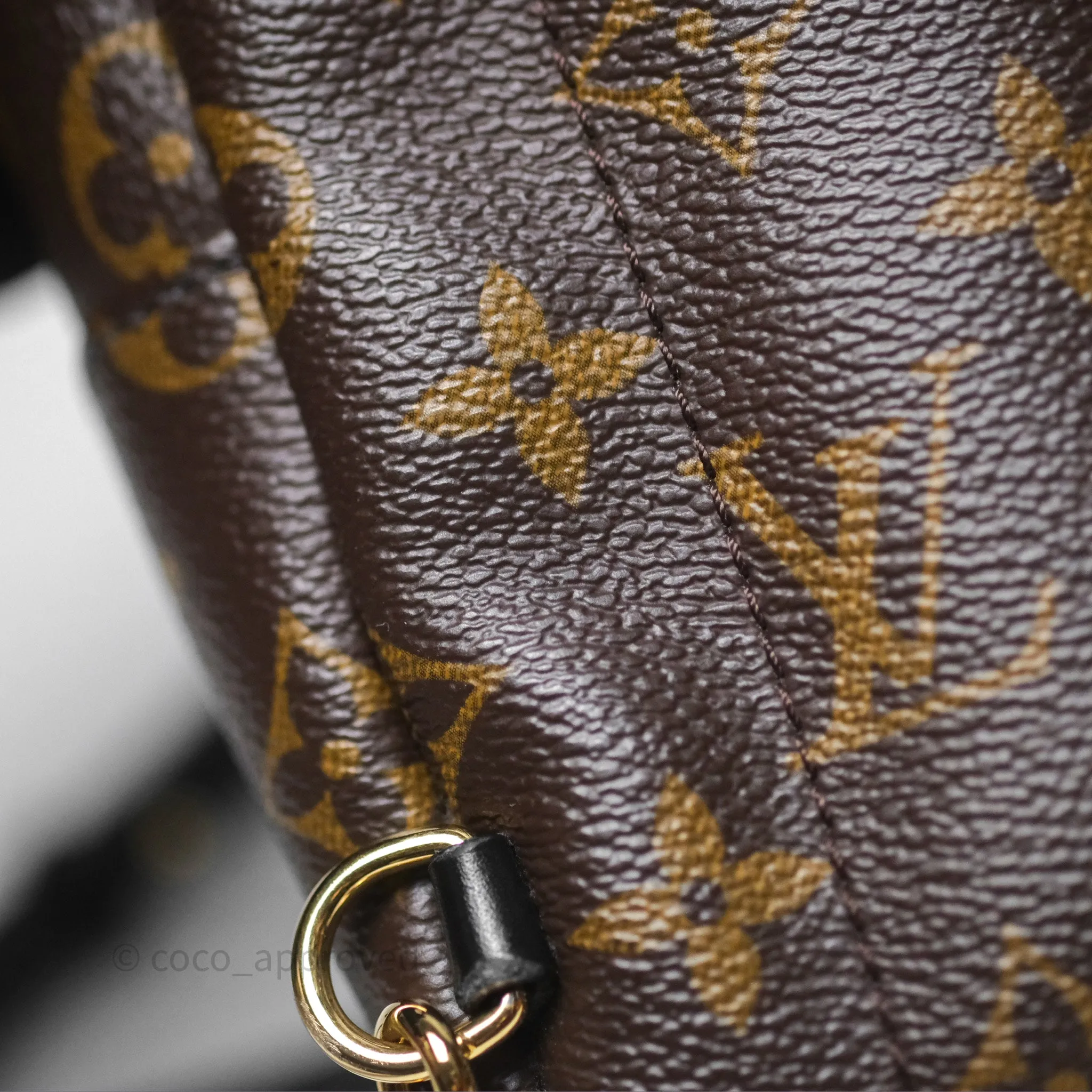 Louis Vuitton Monogram Mini Palm Springs Backpack
