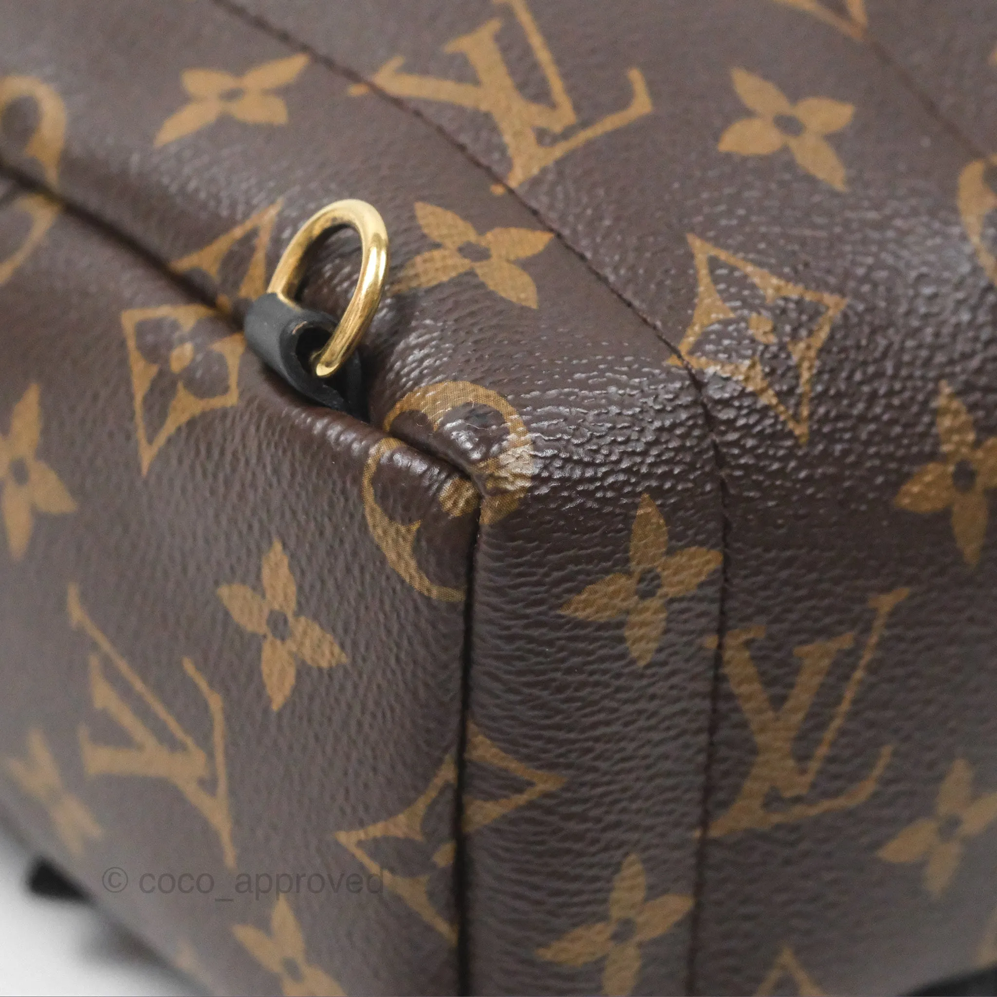 Louis Vuitton Monogram Mini Palm Springs Backpack
