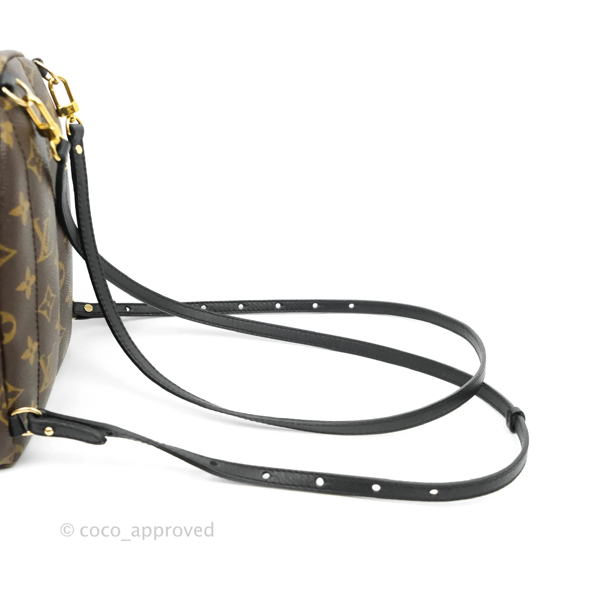Louis Vuitton Monogram Mini Palm Springs Backpack