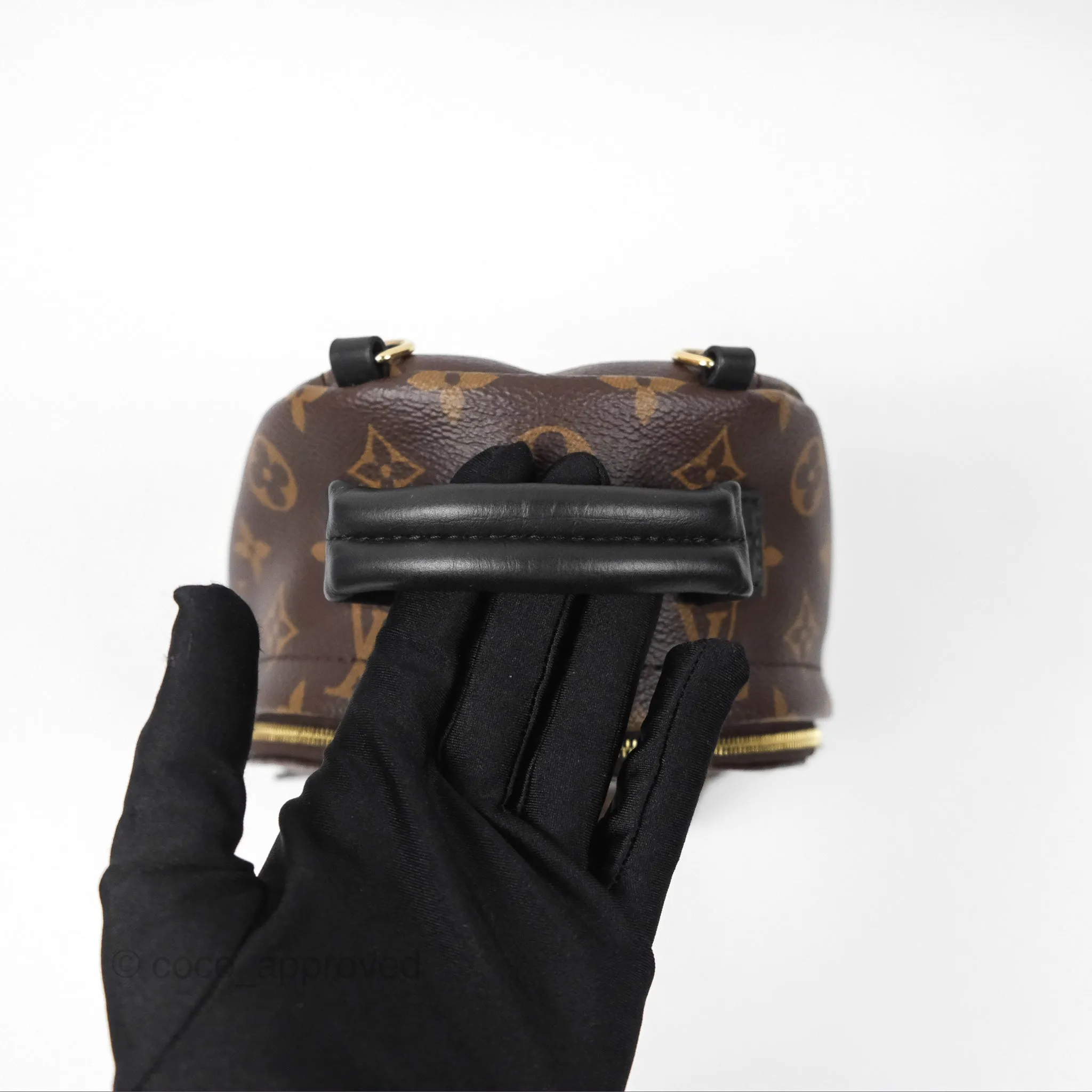 Louis Vuitton Monogram Mini Palm Springs Backpack