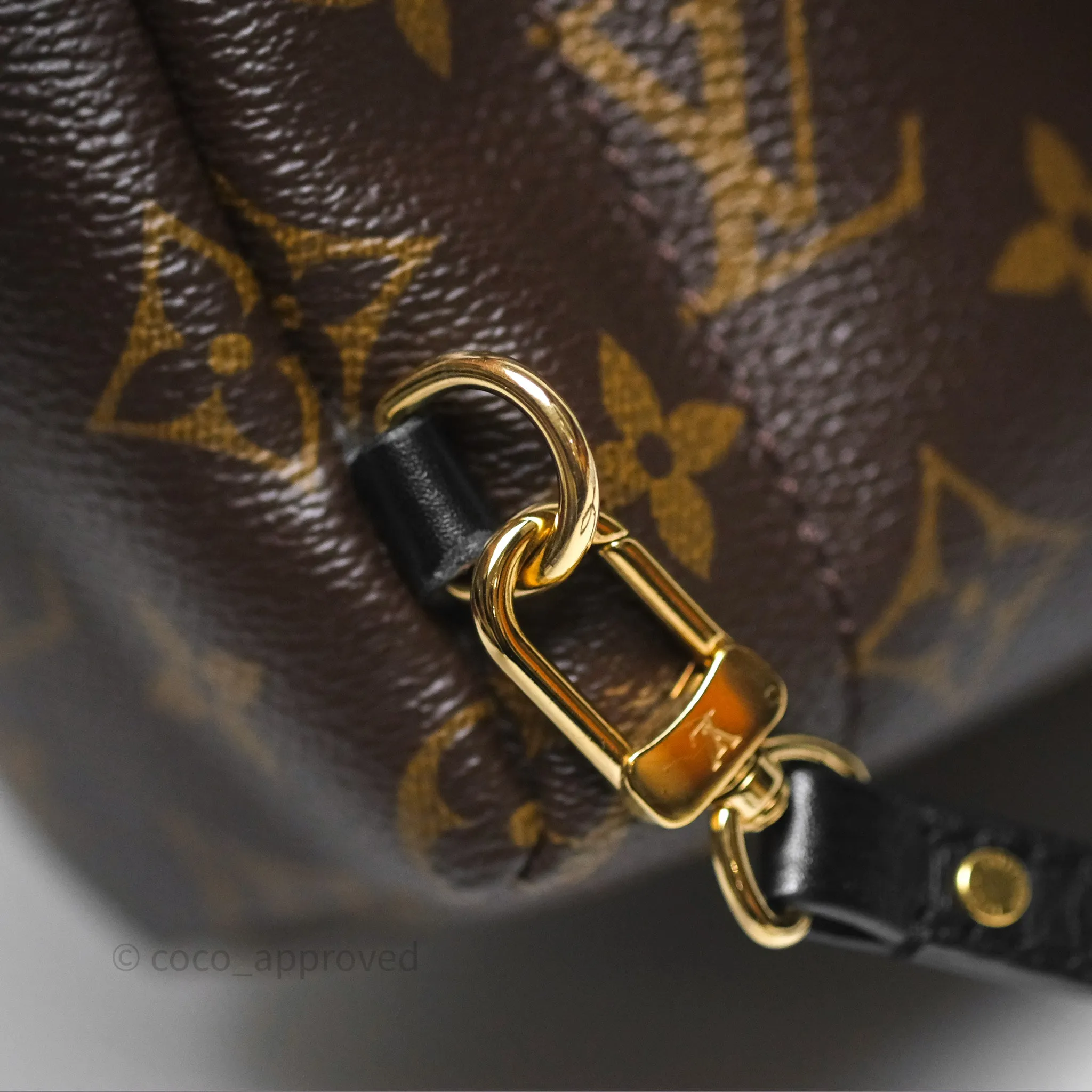 Louis Vuitton Monogram Mini Palm Springs Backpack