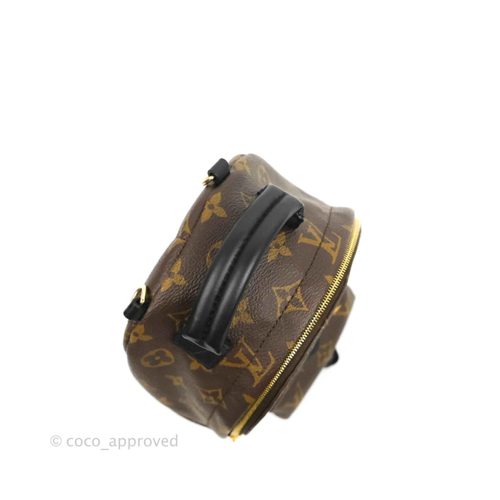 Louis Vuitton Monogram Mini Palm Springs Backpack