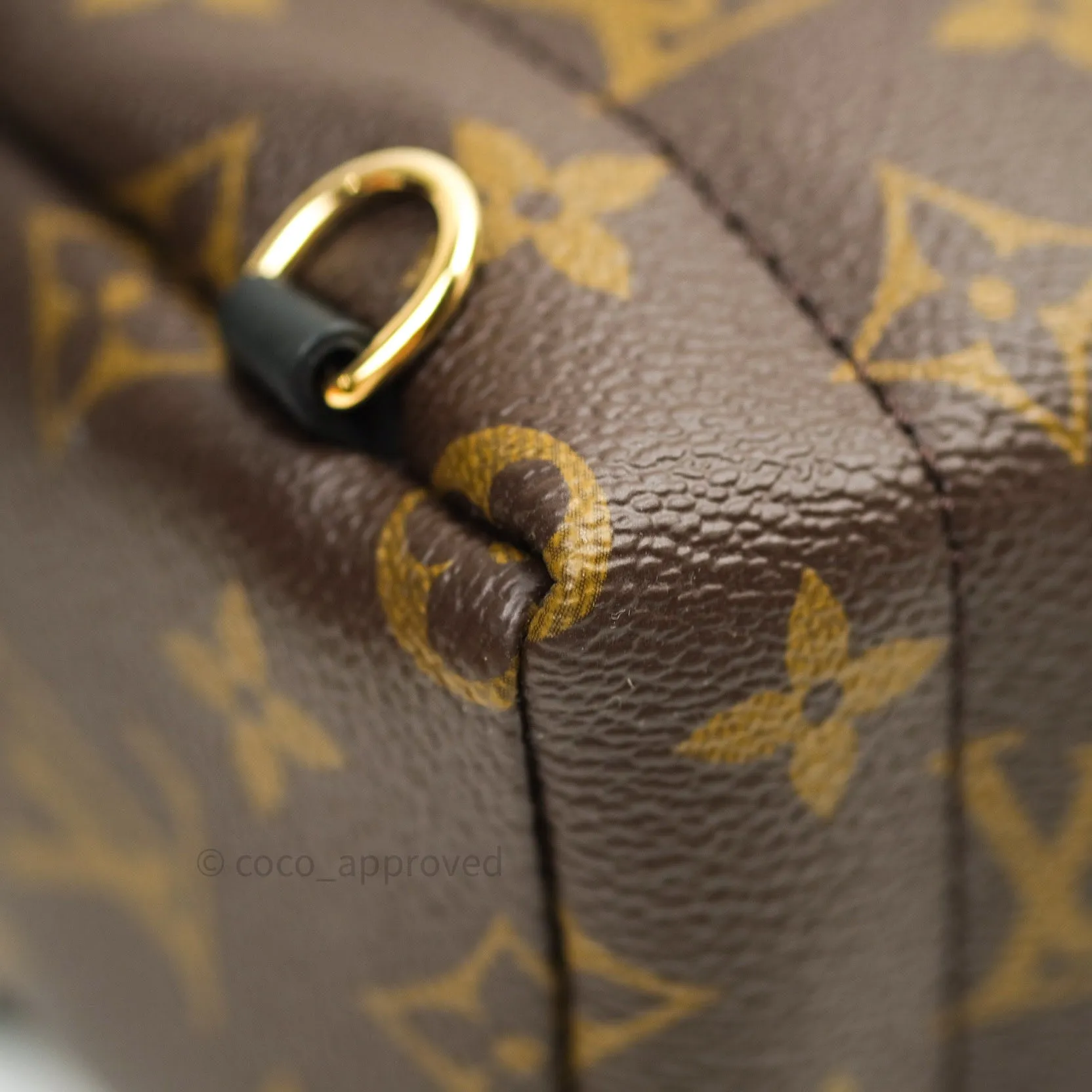 Louis Vuitton Monogram Mini Palm Springs Backpack