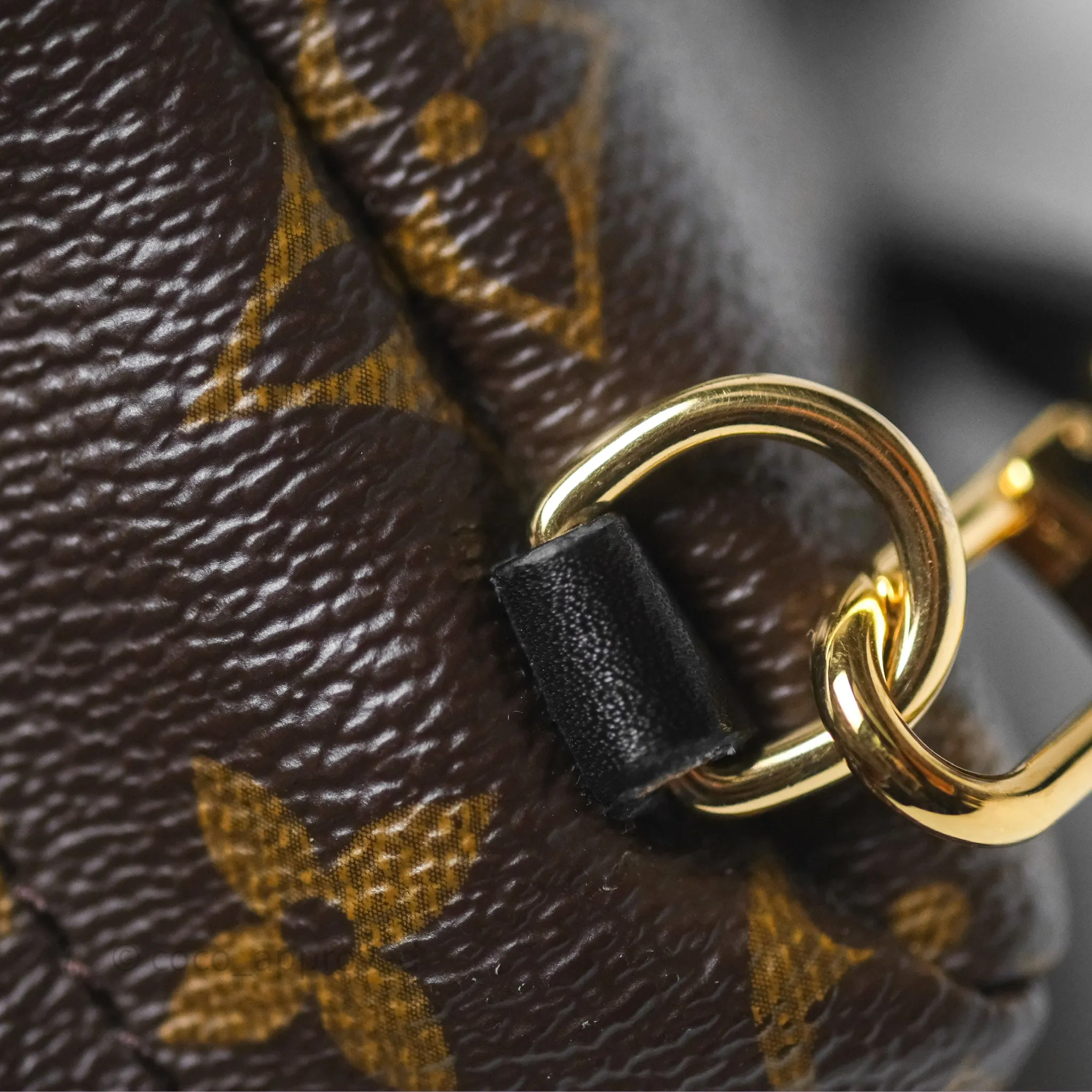 Louis Vuitton Monogram Mini Palm Springs Backpack