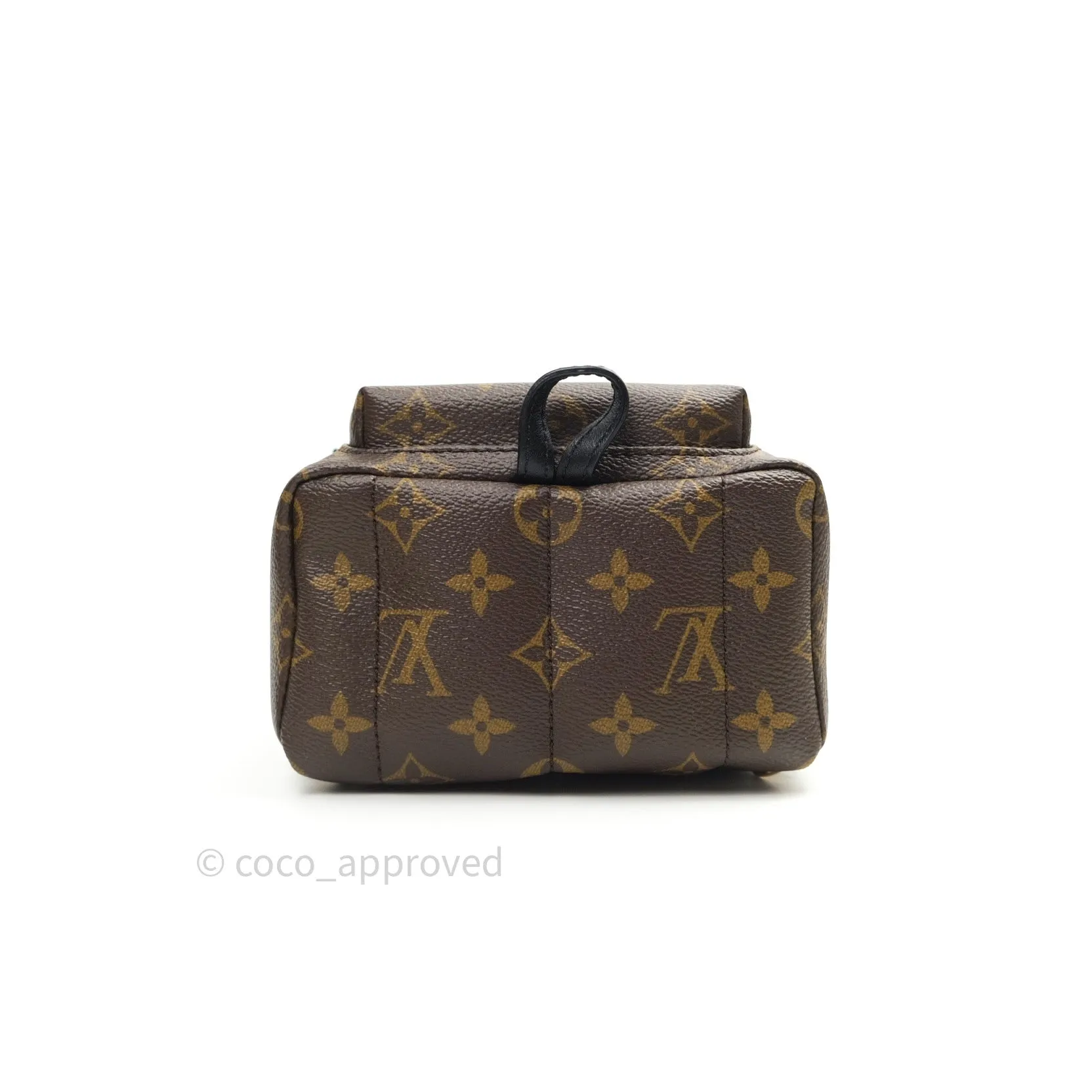 Louis Vuitton Monogram Mini Palm Springs Backpack
