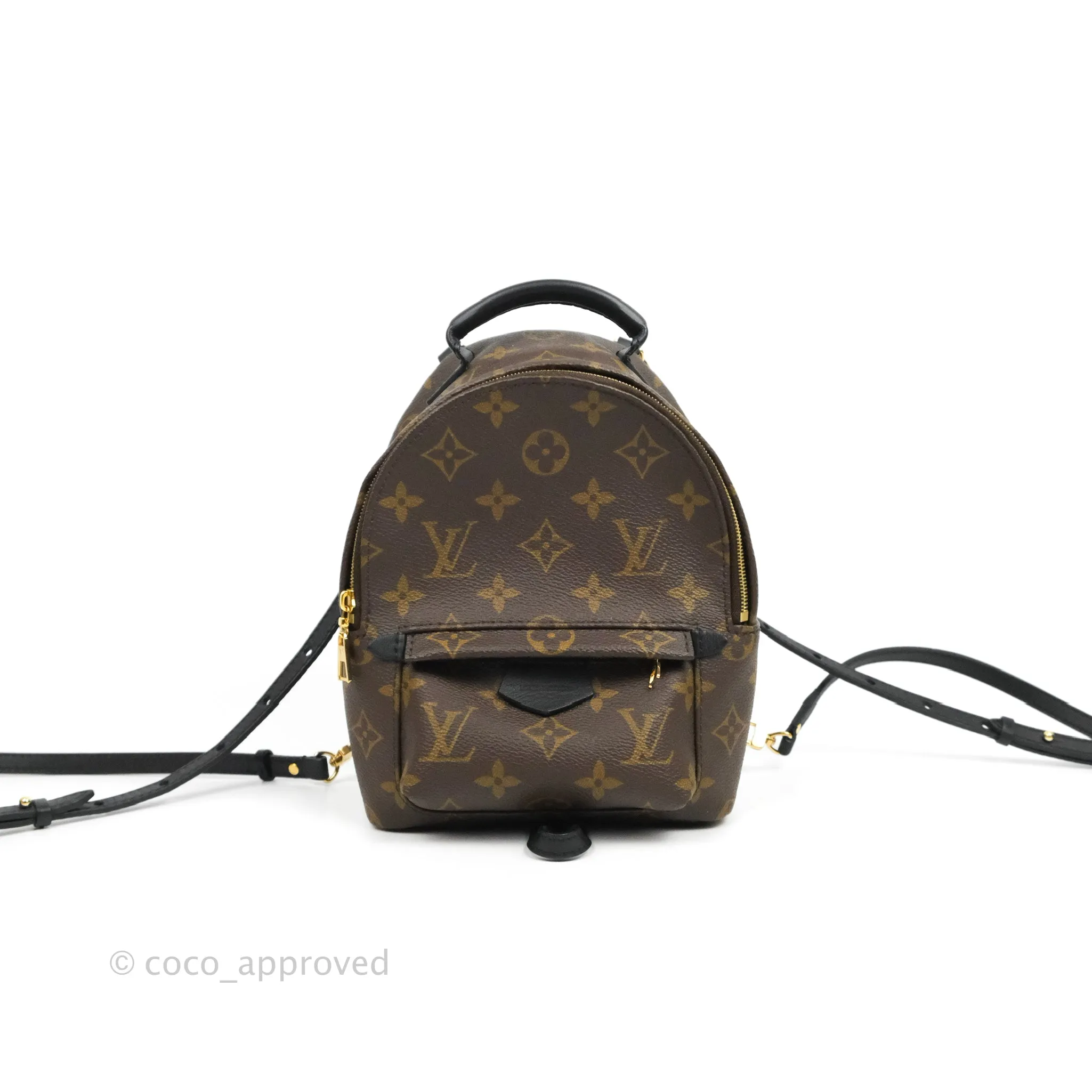 Louis Vuitton Monogram Mini Palm Springs Backpack