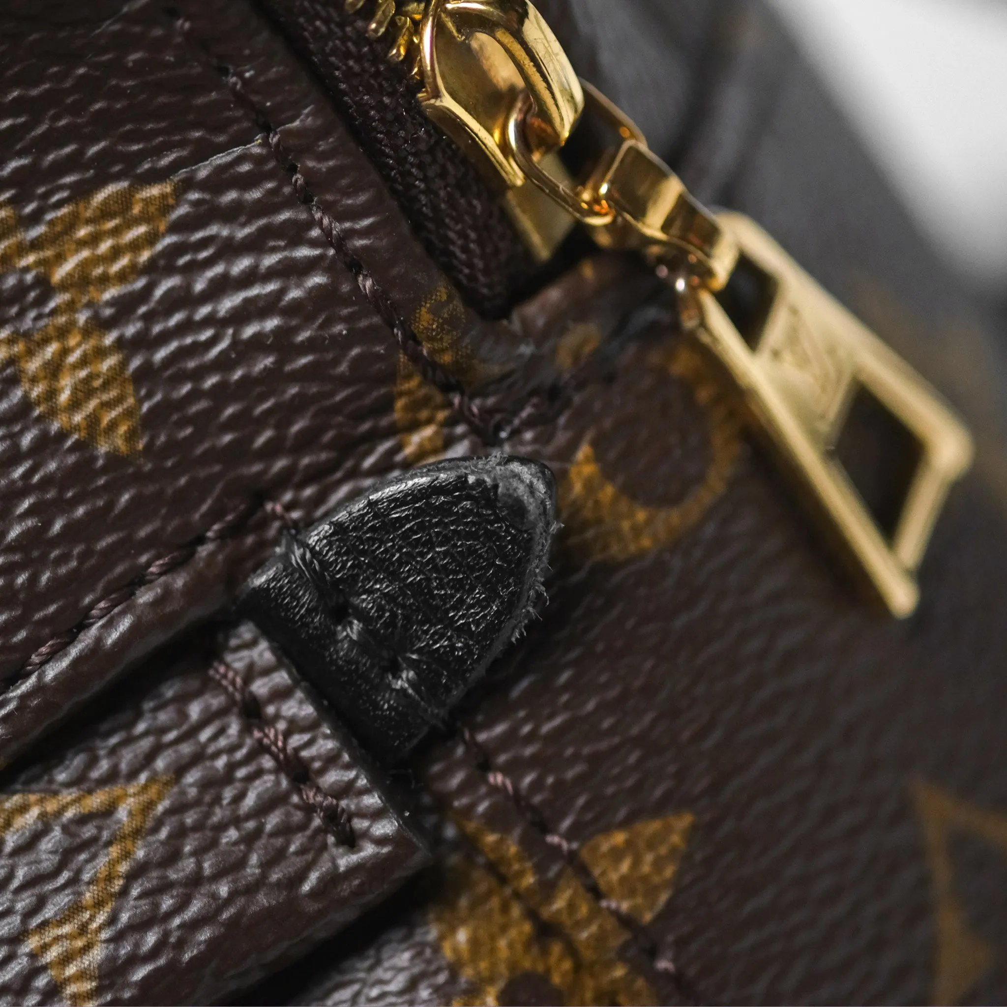 Louis Vuitton Monogram Mini Palm Springs Backpack