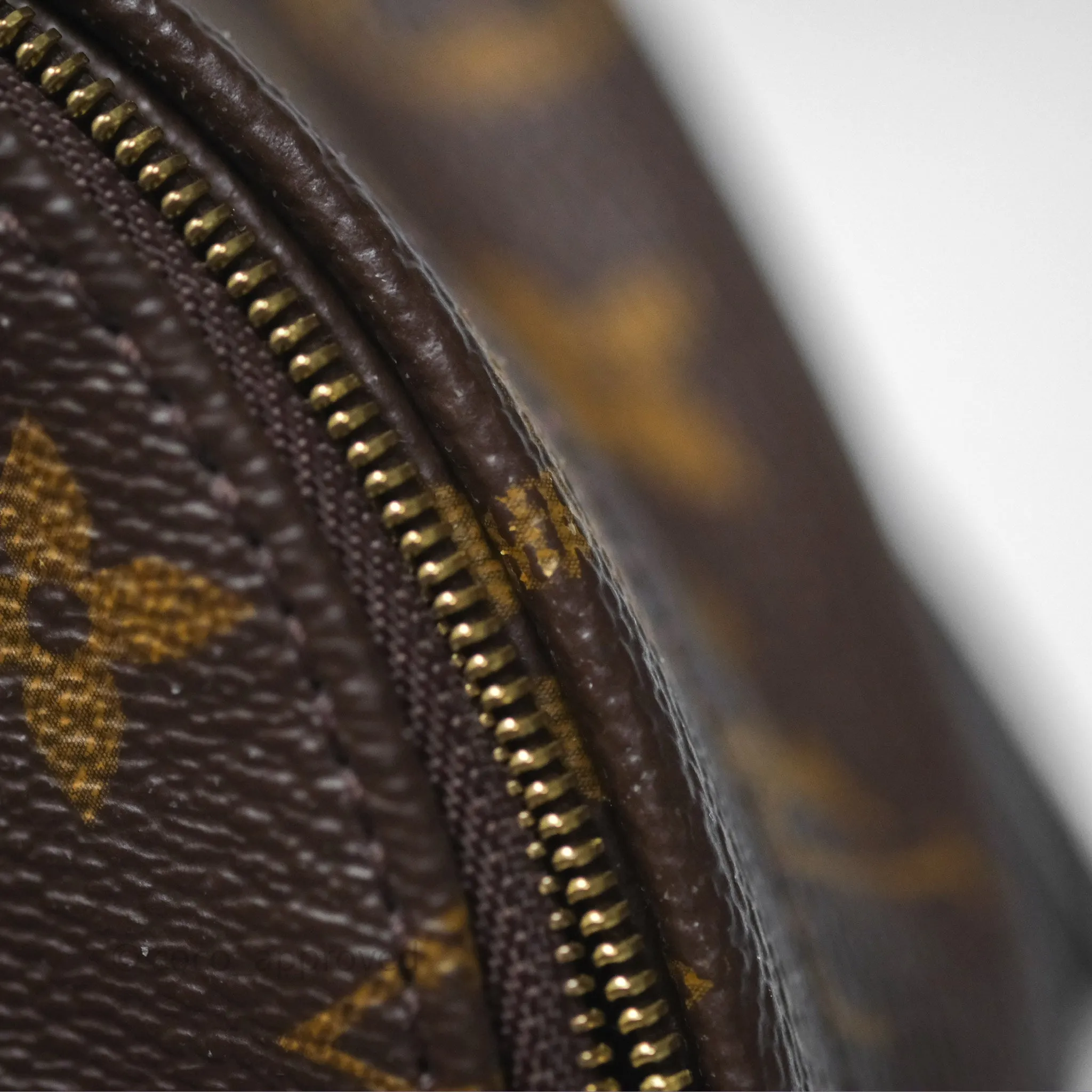 Louis Vuitton Monogram Mini Palm Springs Backpack