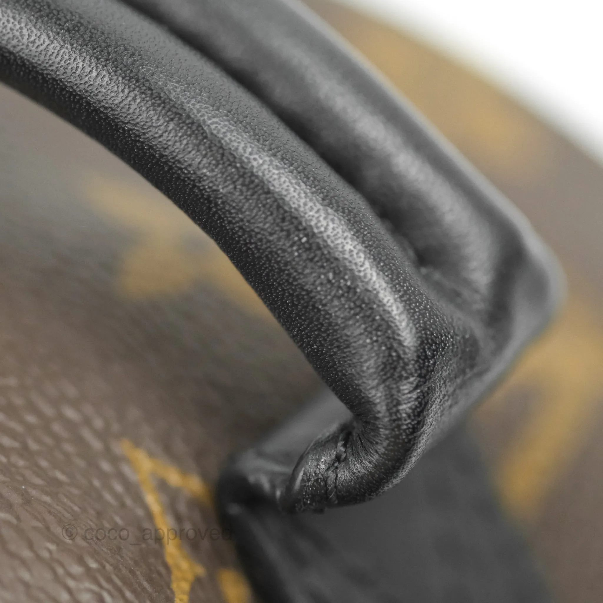 Louis Vuitton Monogram Mini Palm Springs Backpack