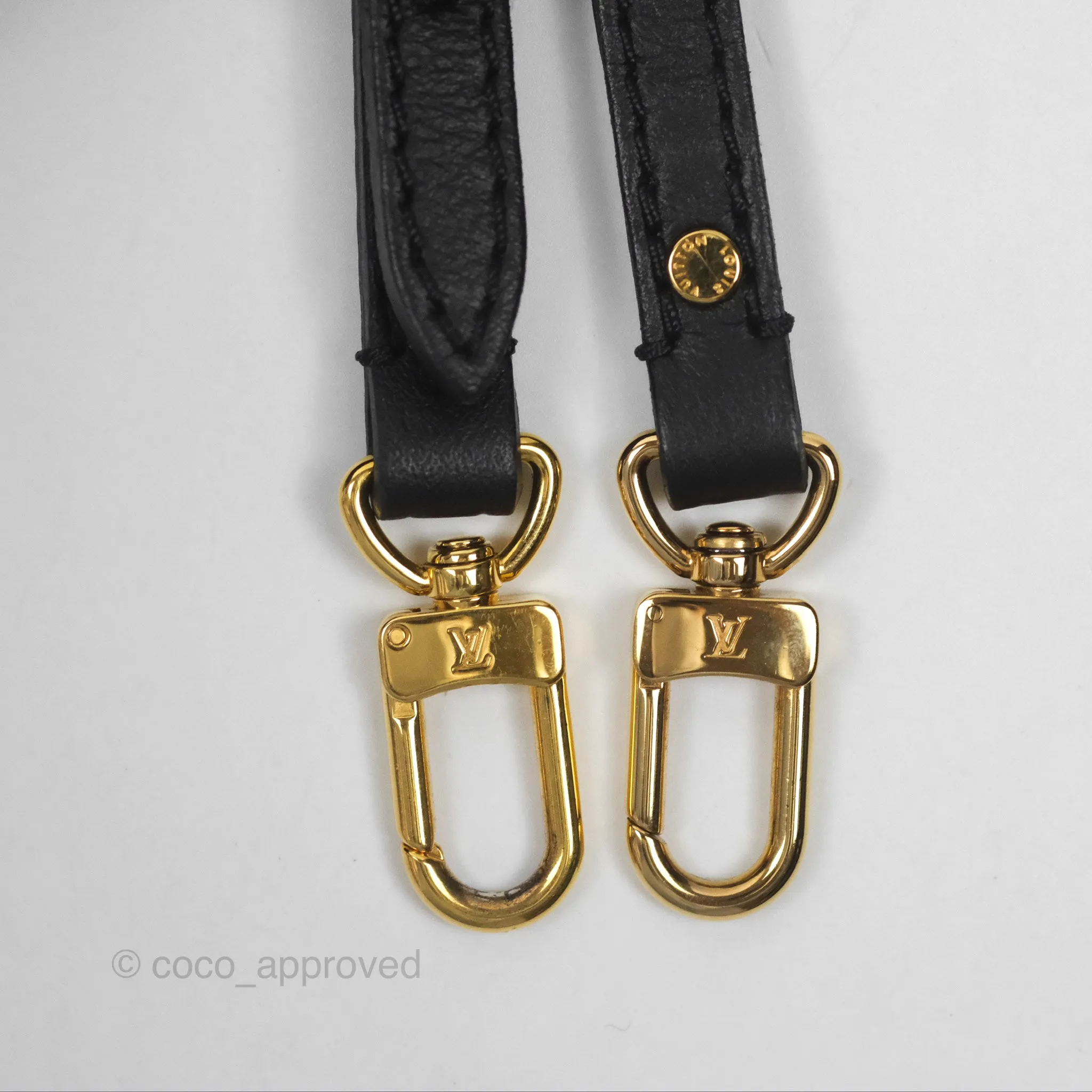 Louis Vuitton Monogram Mini Palm Springs Backpack