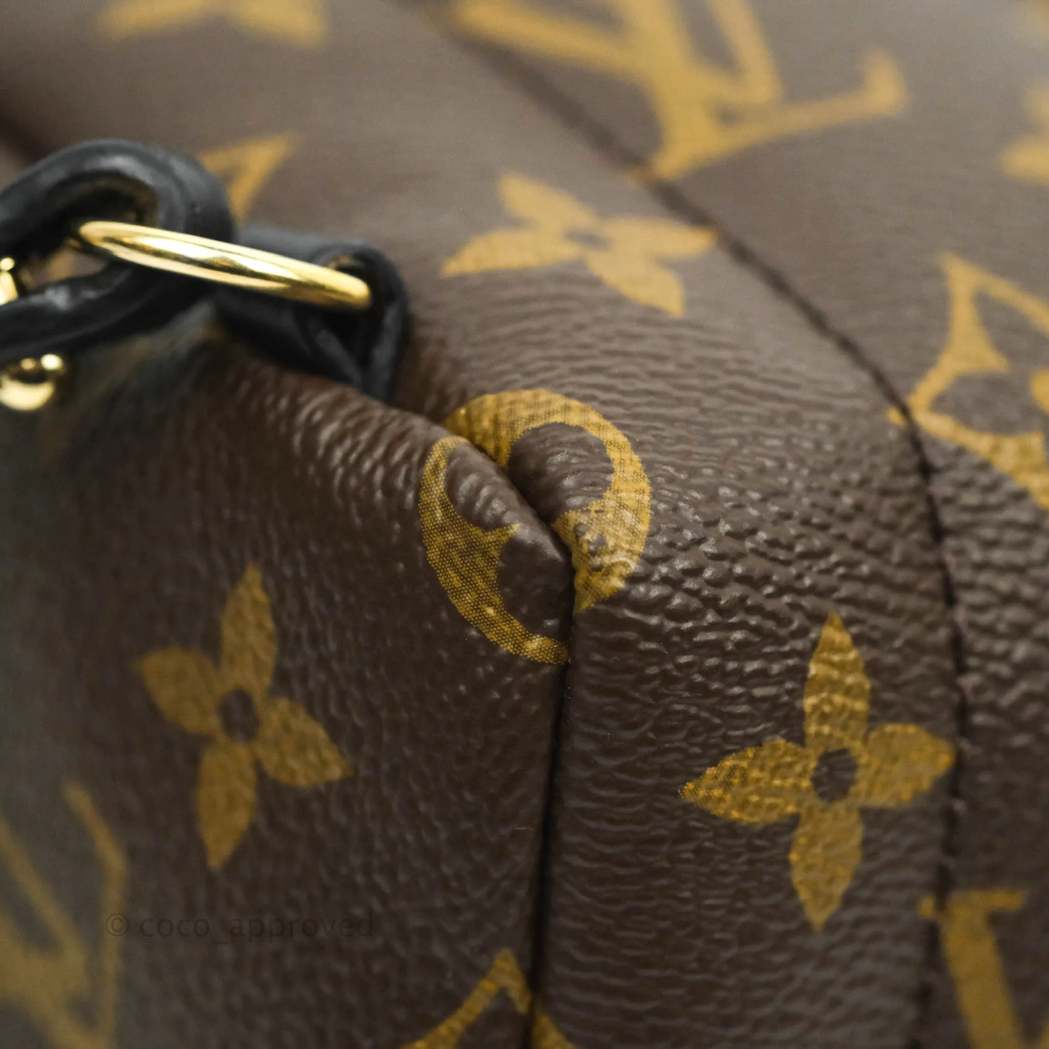 Louis Vuitton Monogram Mini Palm Springs Backpack