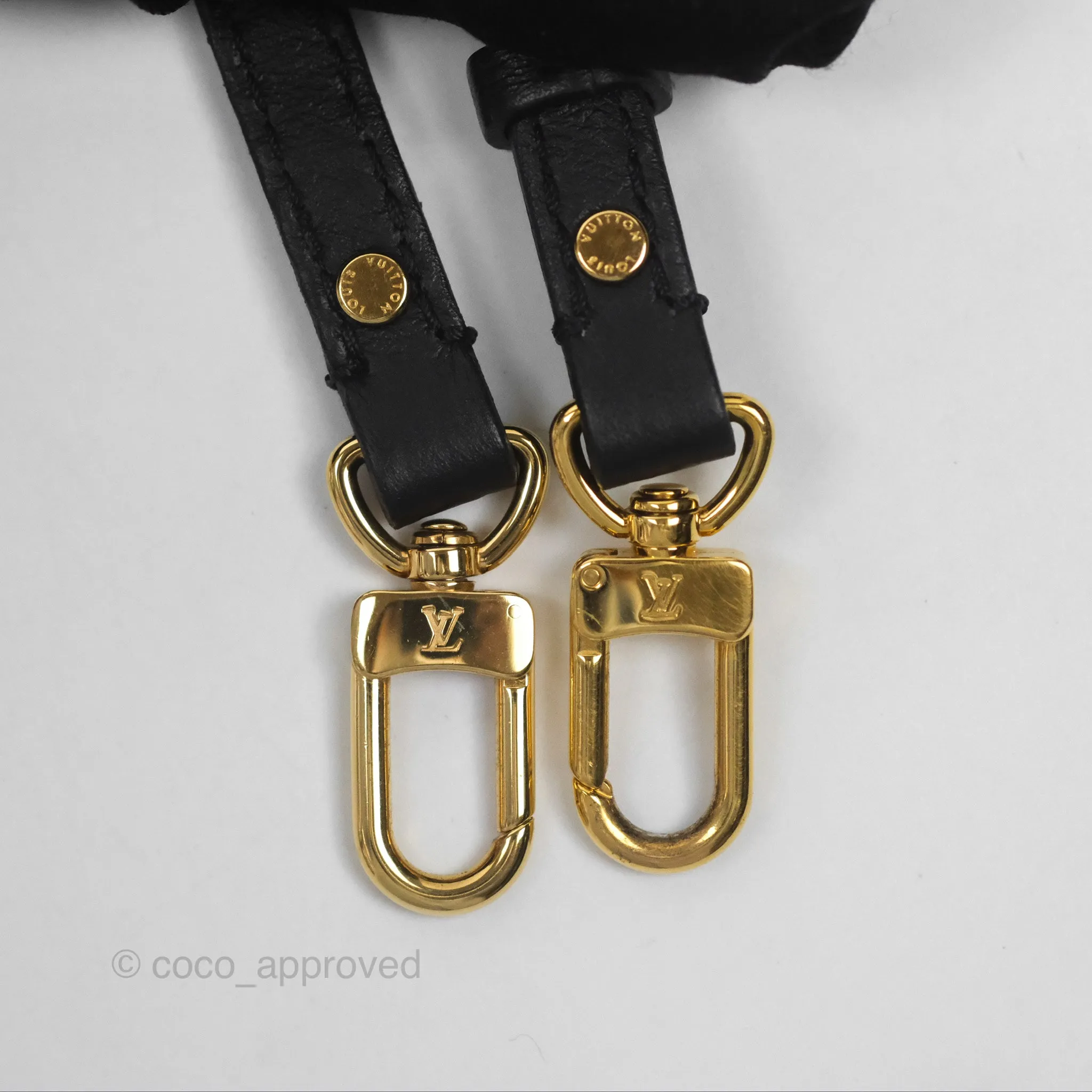 Louis Vuitton Monogram Mini Palm Springs Backpack