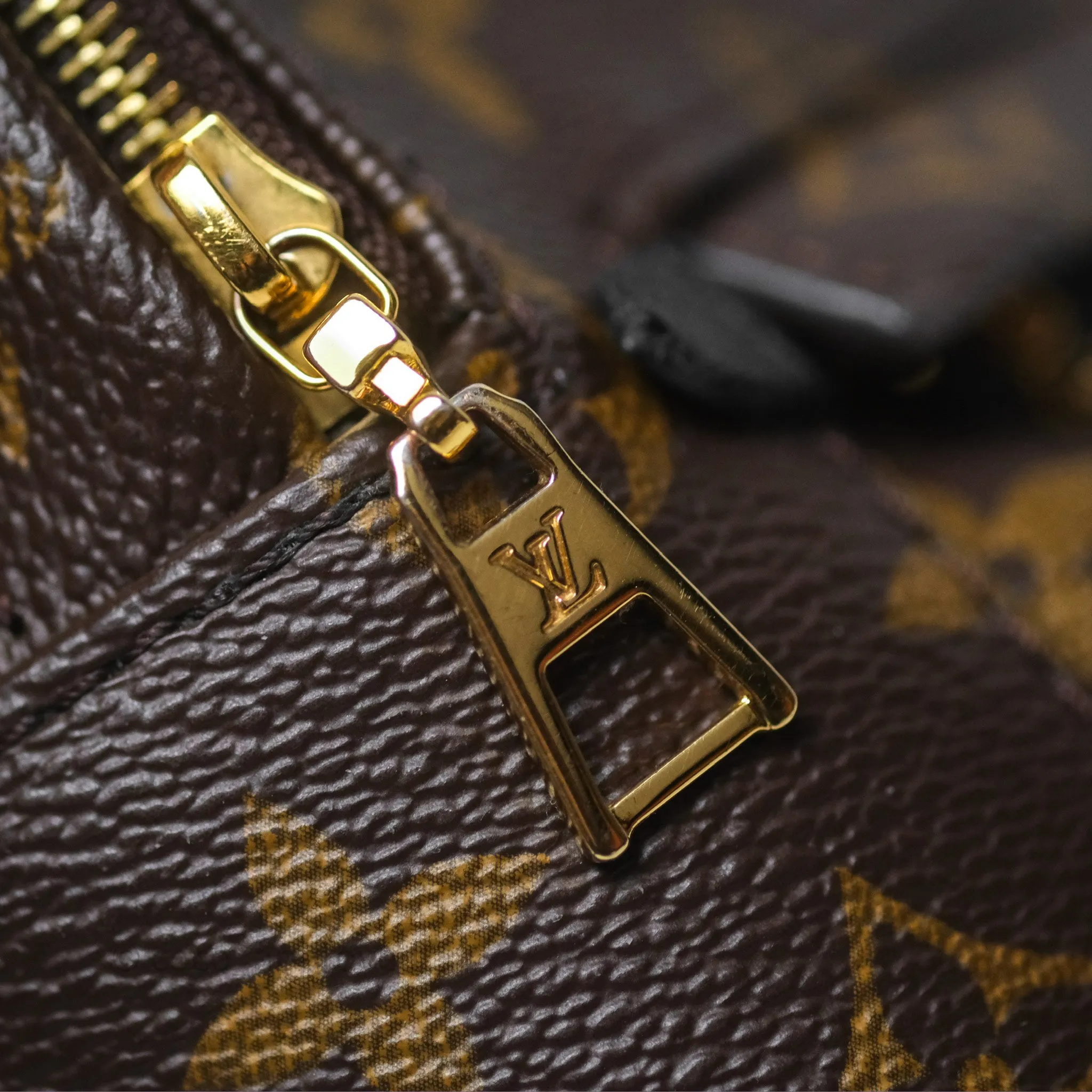 Louis Vuitton Monogram Mini Palm Springs Backpack