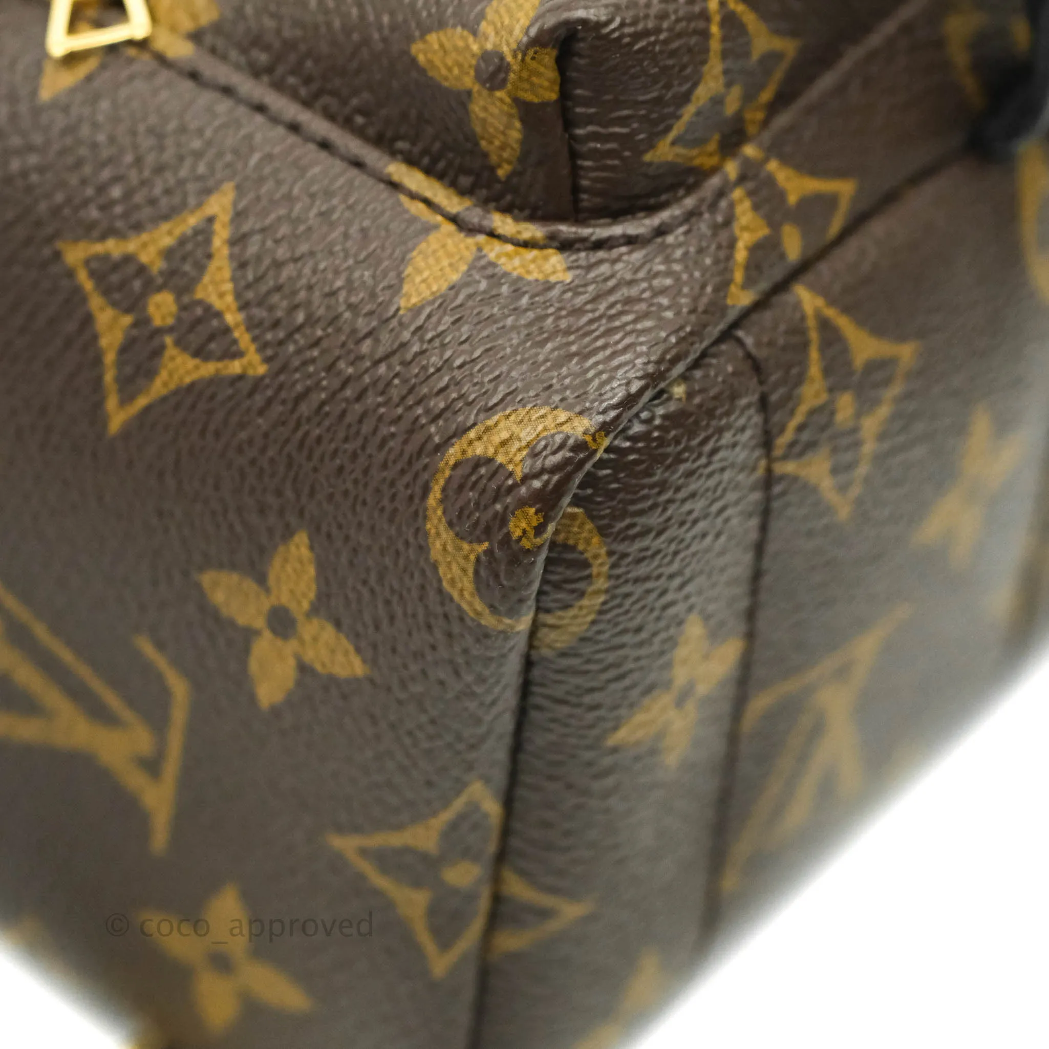 Louis Vuitton Monogram Mini Palm Springs Backpack