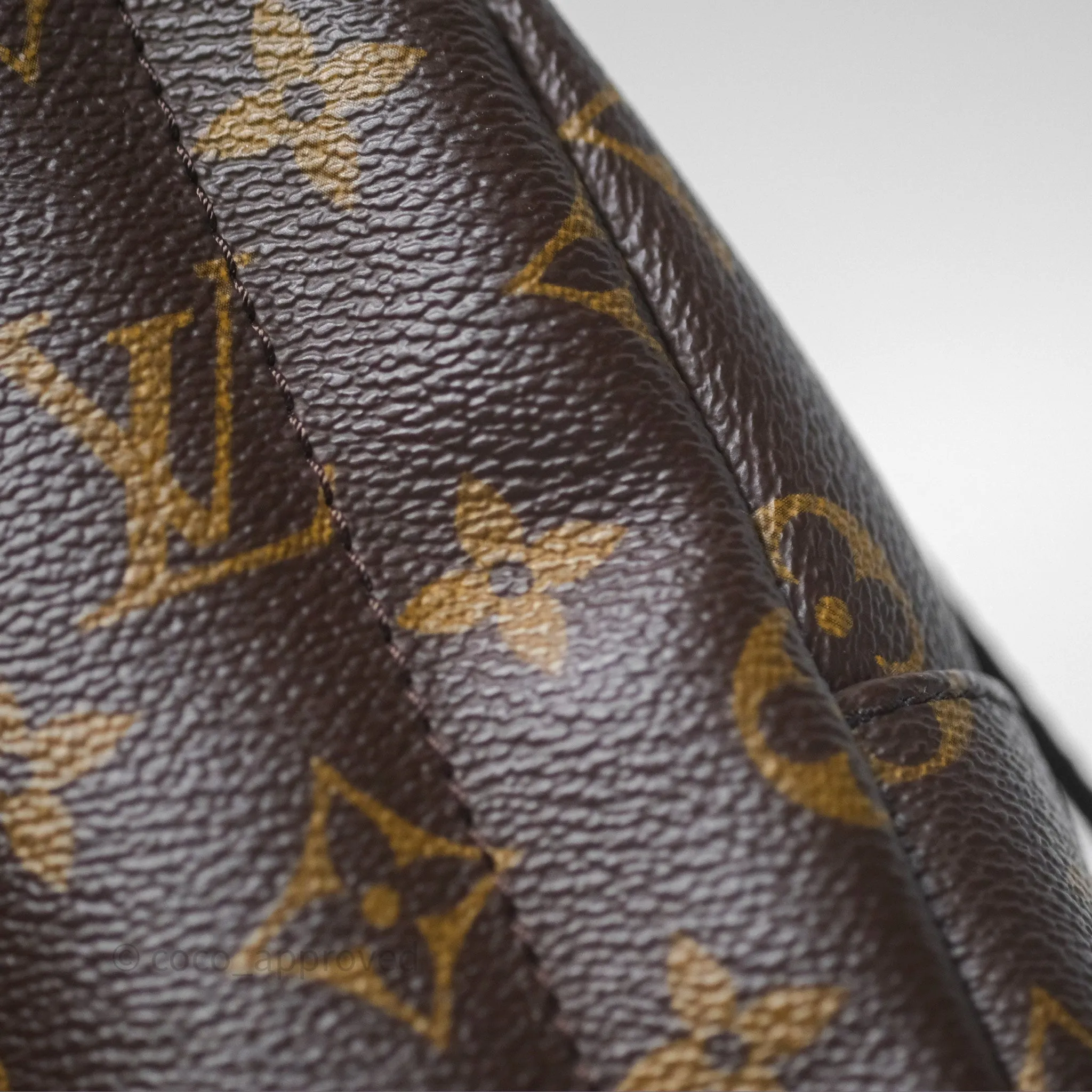 Louis Vuitton Monogram Mini Palm Springs Backpack