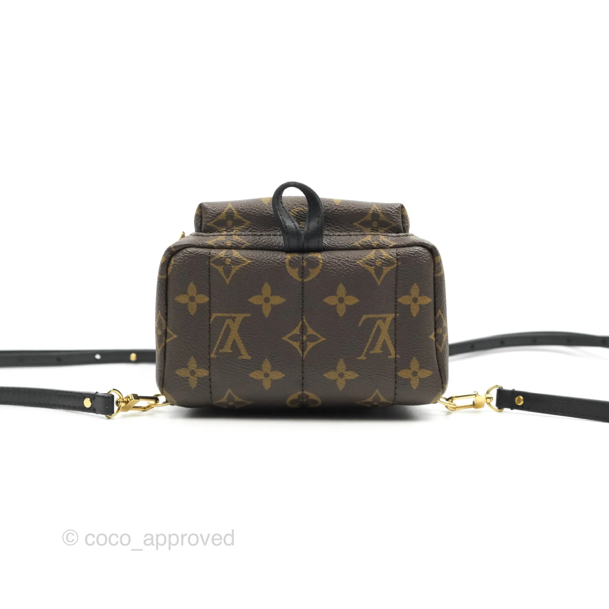 Louis Vuitton Monogram Mini Palm Springs Backpack