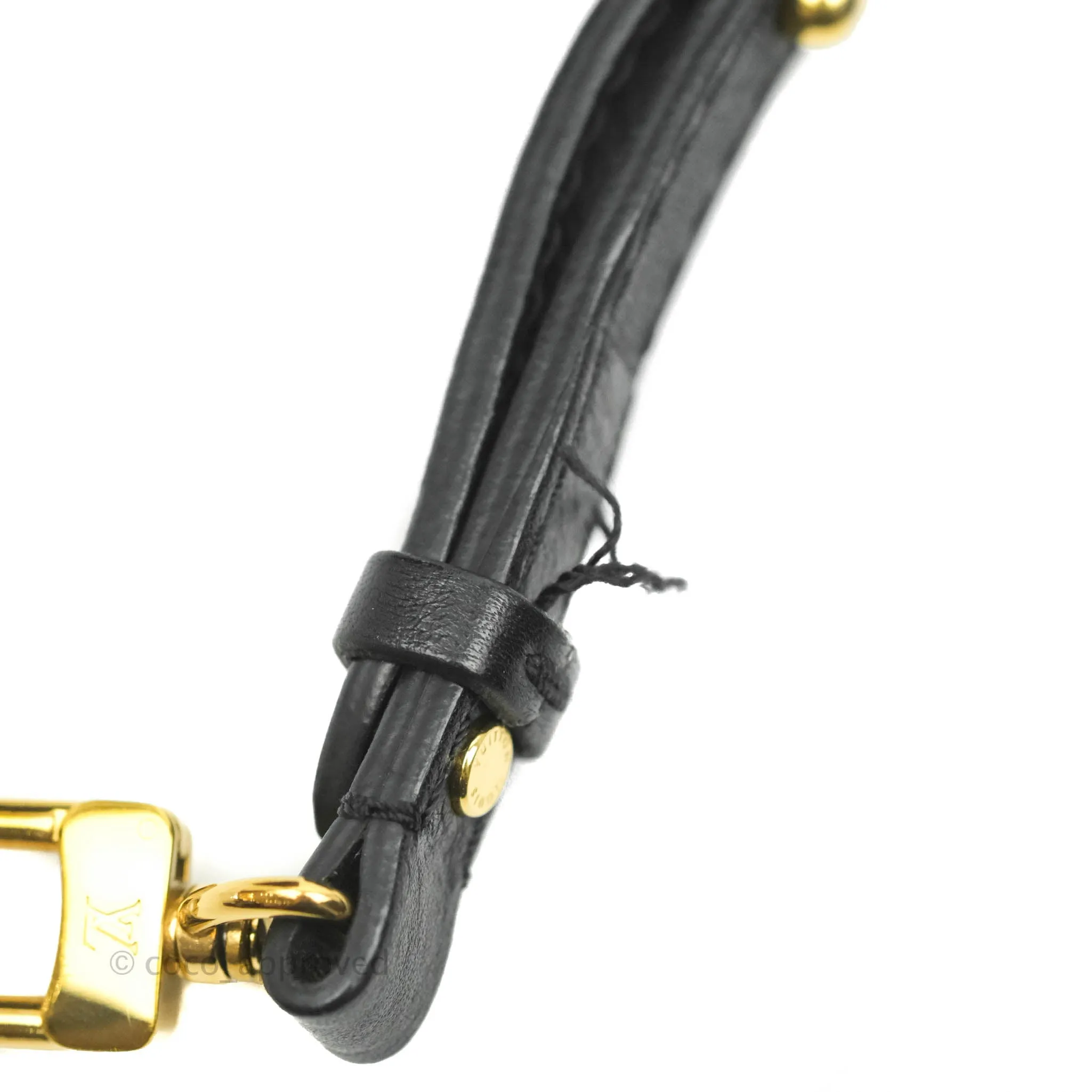 Louis Vuitton Monogram Mini Palm Springs Backpack